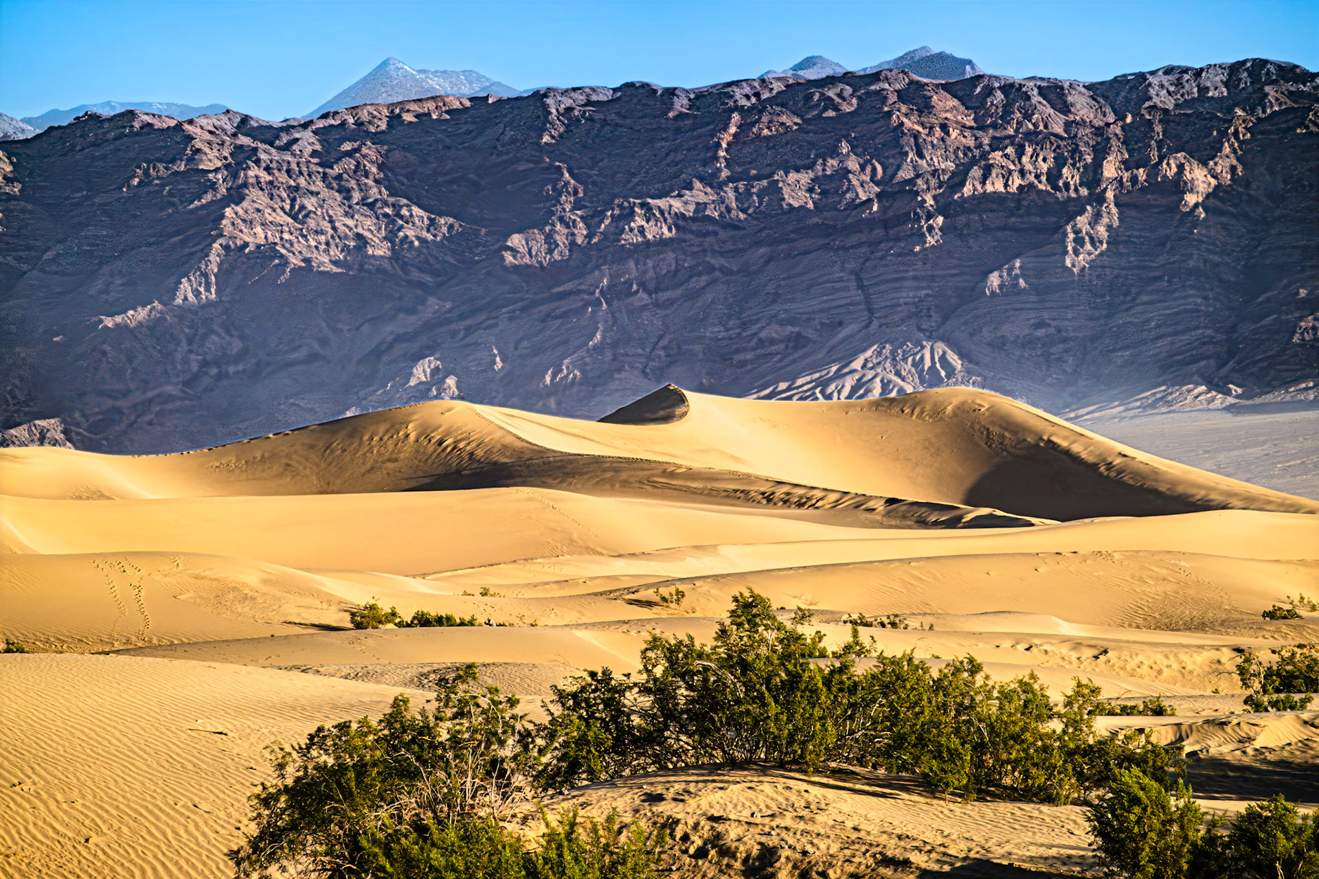 Death Valley Sand Dunes: Mesquite Flats sand dunes and the Grapevine Mountains in the background.