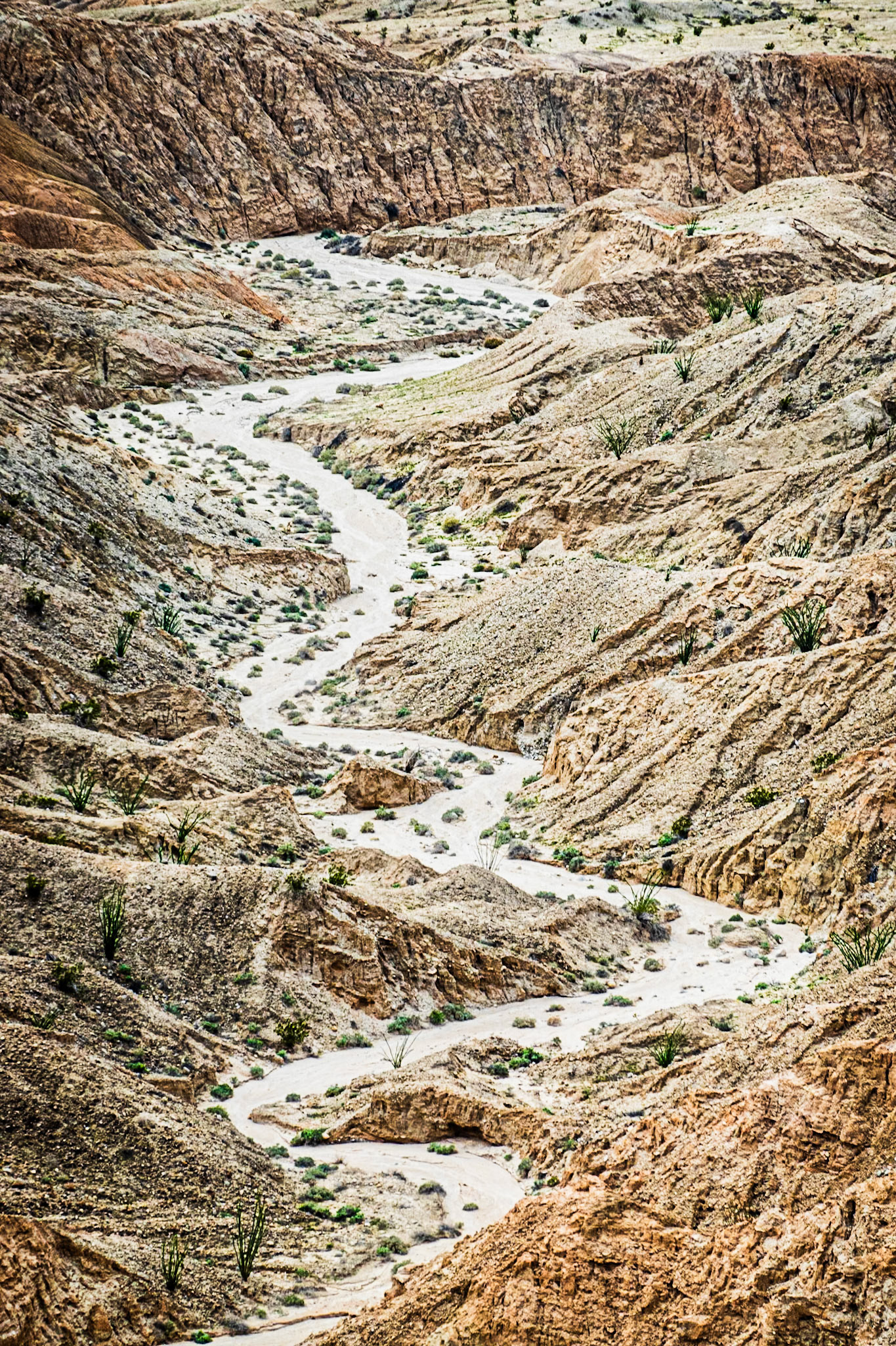Desert Wash Portrait: In the Borrego Badlands viewed from Font's Point