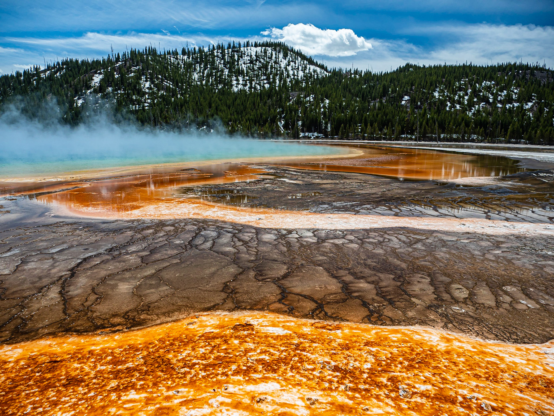 Grand Prismatic Spring: Steam rises from the Grand Prismatic Spring in the Midway Geyser Basin of Yellowstone National Park.  The hot spring is flanked by richly hued mineral and microbial mats.
