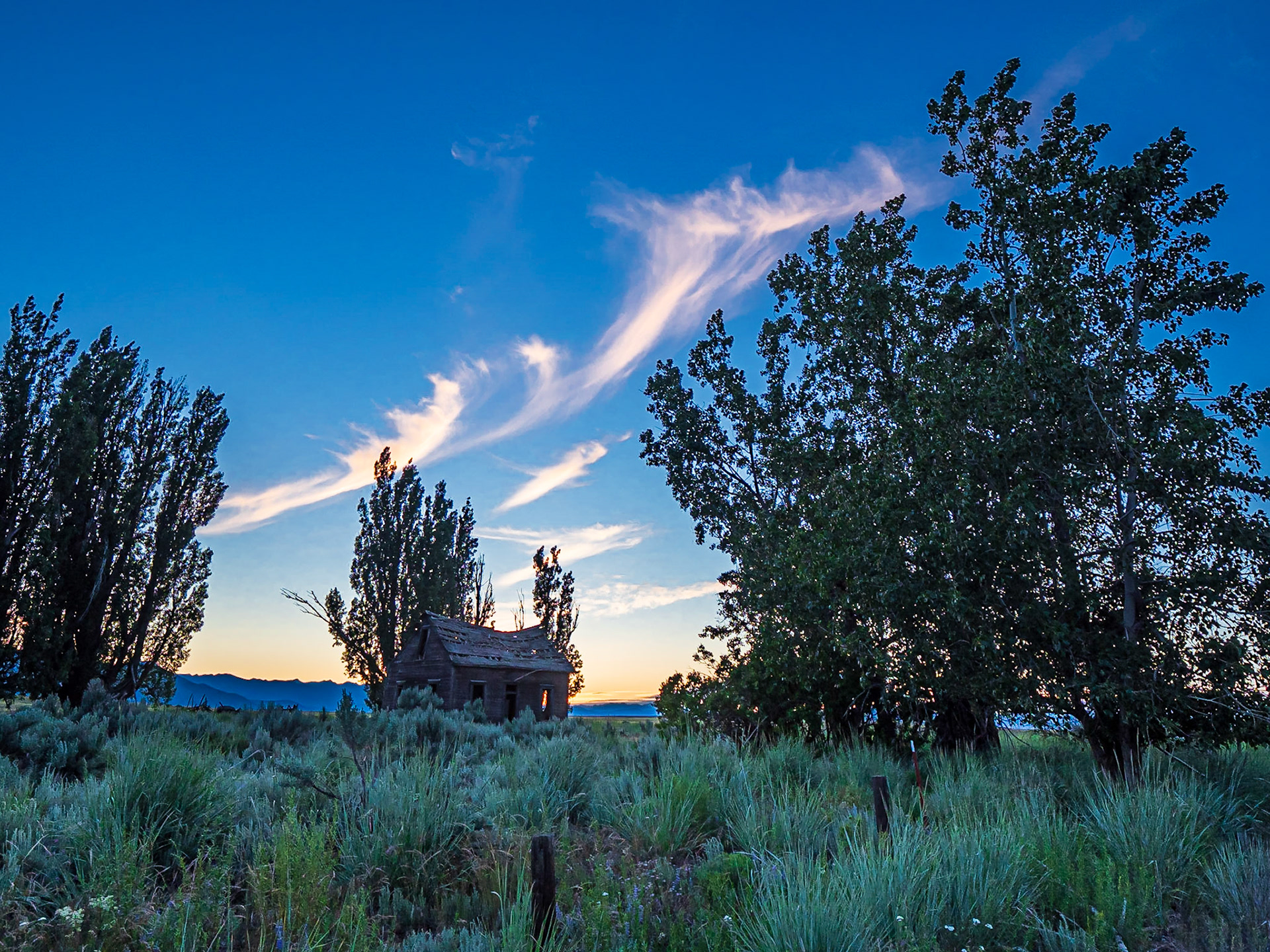 Abandoned Homestead: An old homestead nestled among shade trees on the Waterville Plateau near Dyer Washington.