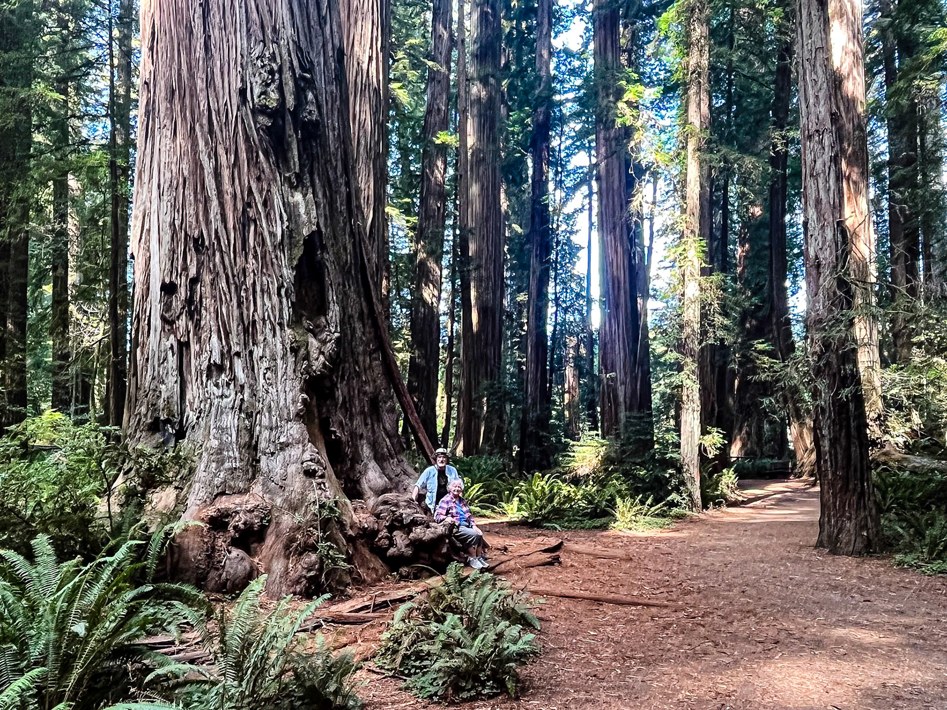 Les and Diane in the Redwoods: In Jedediah Smith State Park