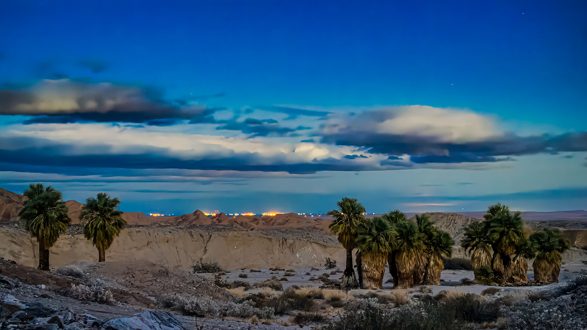 Oasis Blue Hour: The blue-hour after sunset and a few minutes before moonrise over the 17 Palms Oasis in the Anza-Borrego State Park.  The lights of Salton City peek over the surrounding bluffs of the Arroyo Salado.    Image taken with an iPhone 15 Pro in night mode and processed in Adobe Lightroom with available global and masking tools.