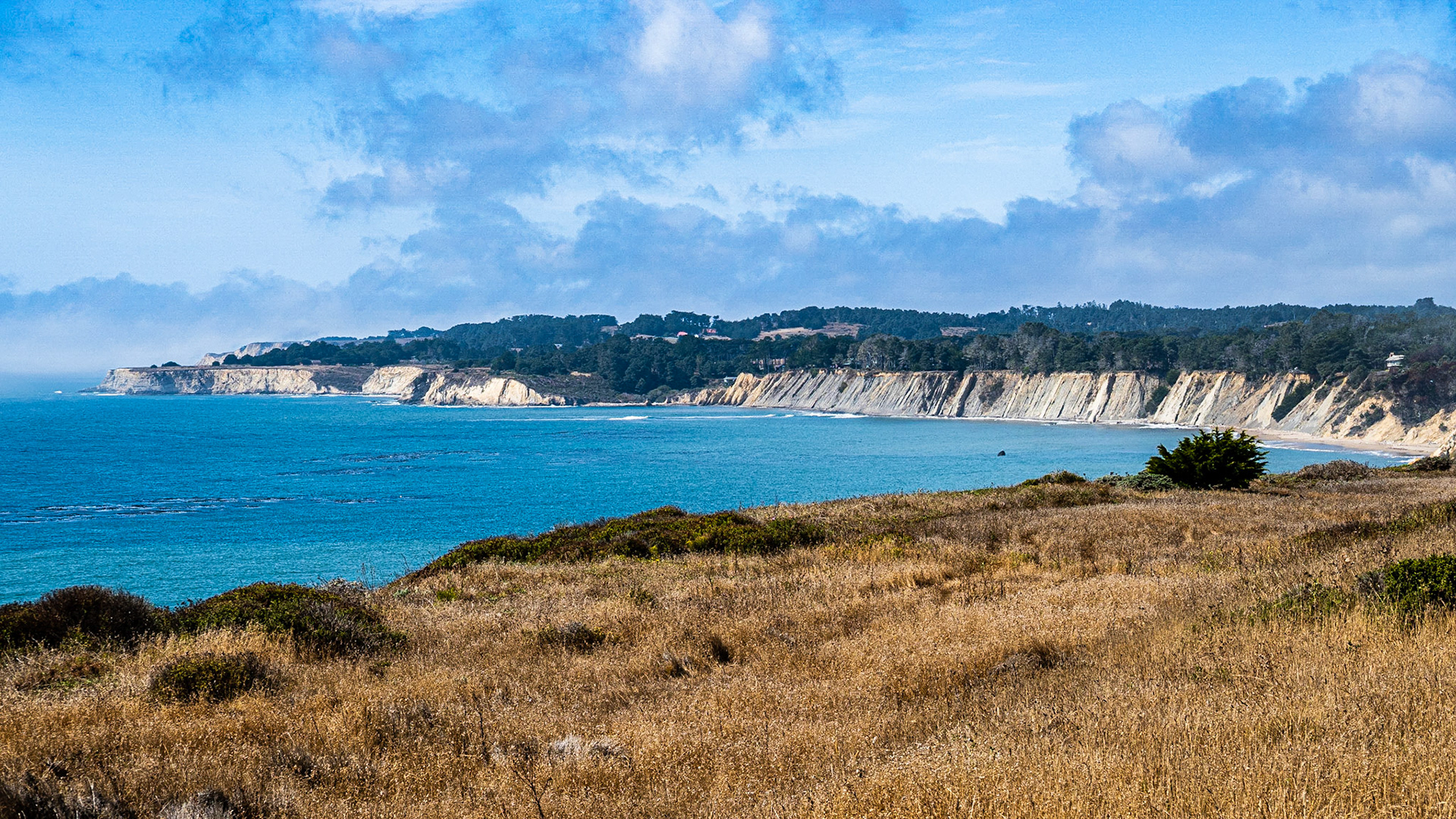 Steep Cliffs: Steep cliffs descend to the ocean south of Point Arena California.