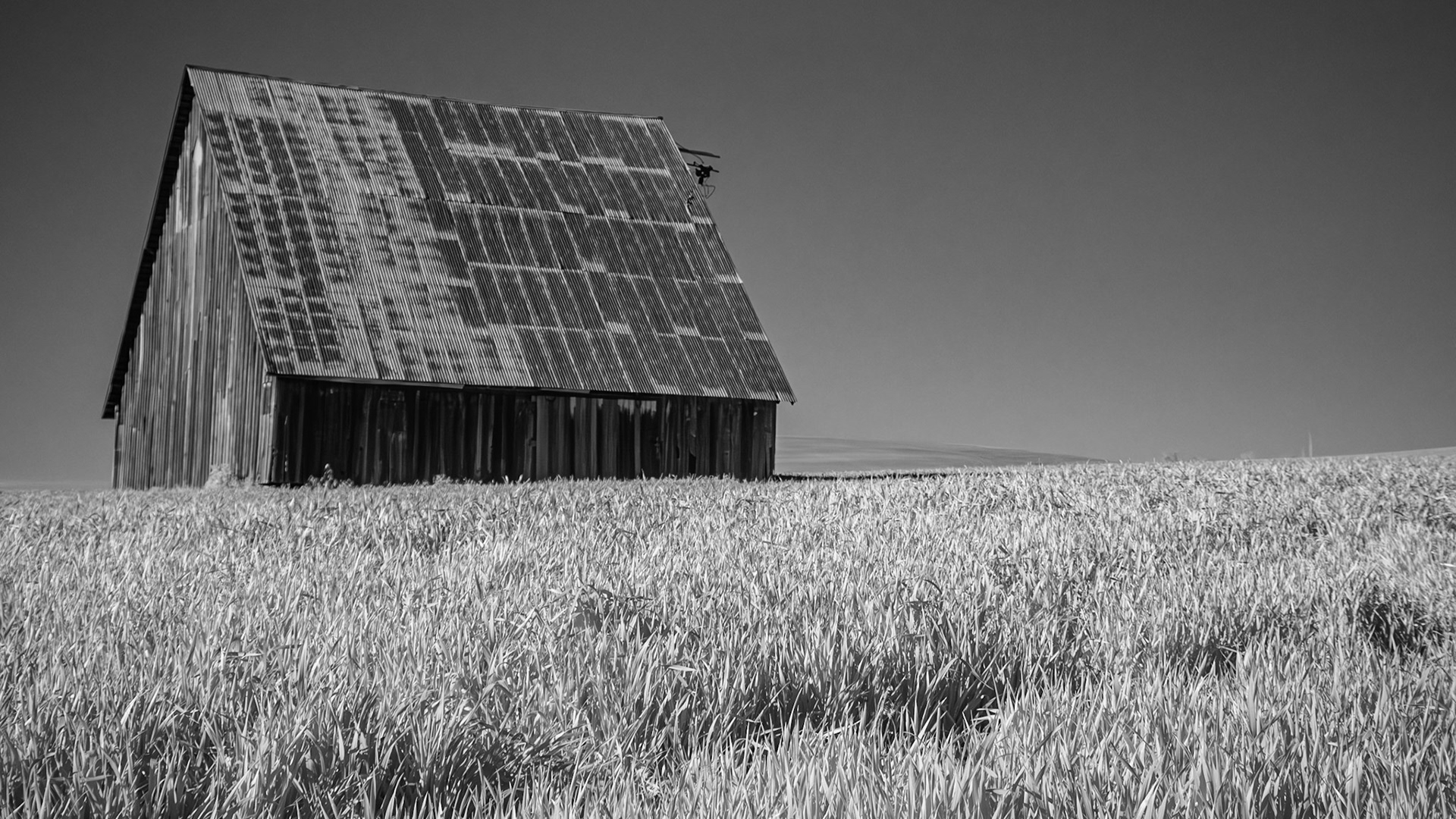 Old Barn - IR B&amp;W: An old barn in a wheat field in the Mill Creek plain just west of the Blue Mountains near Wallla Walla Washington (720 nm infrared B&amp;W image).