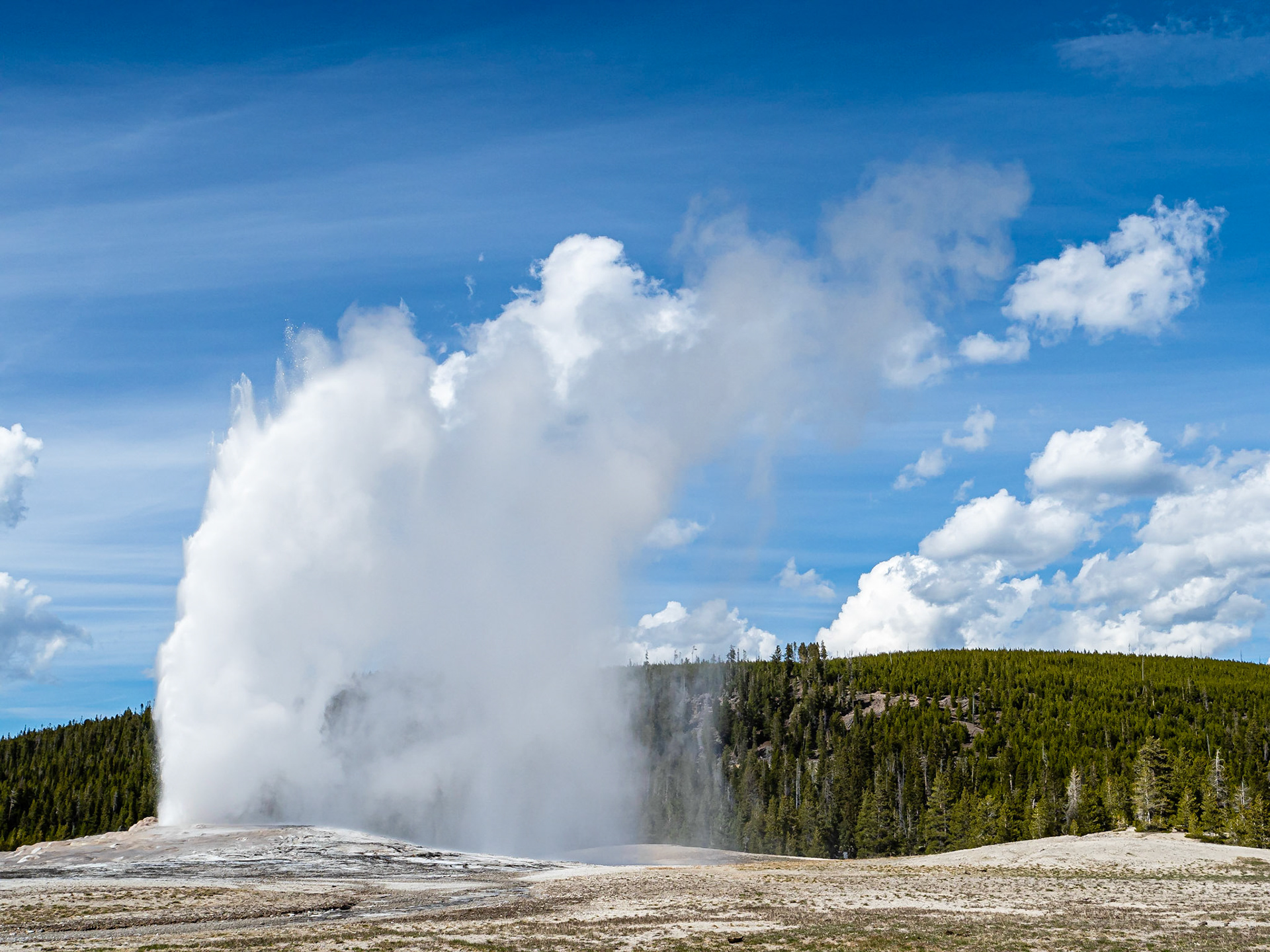 Old Faithful: The iconic geyser erupts on schedule in Yellowstone National Park's Upper Geyser Basin.