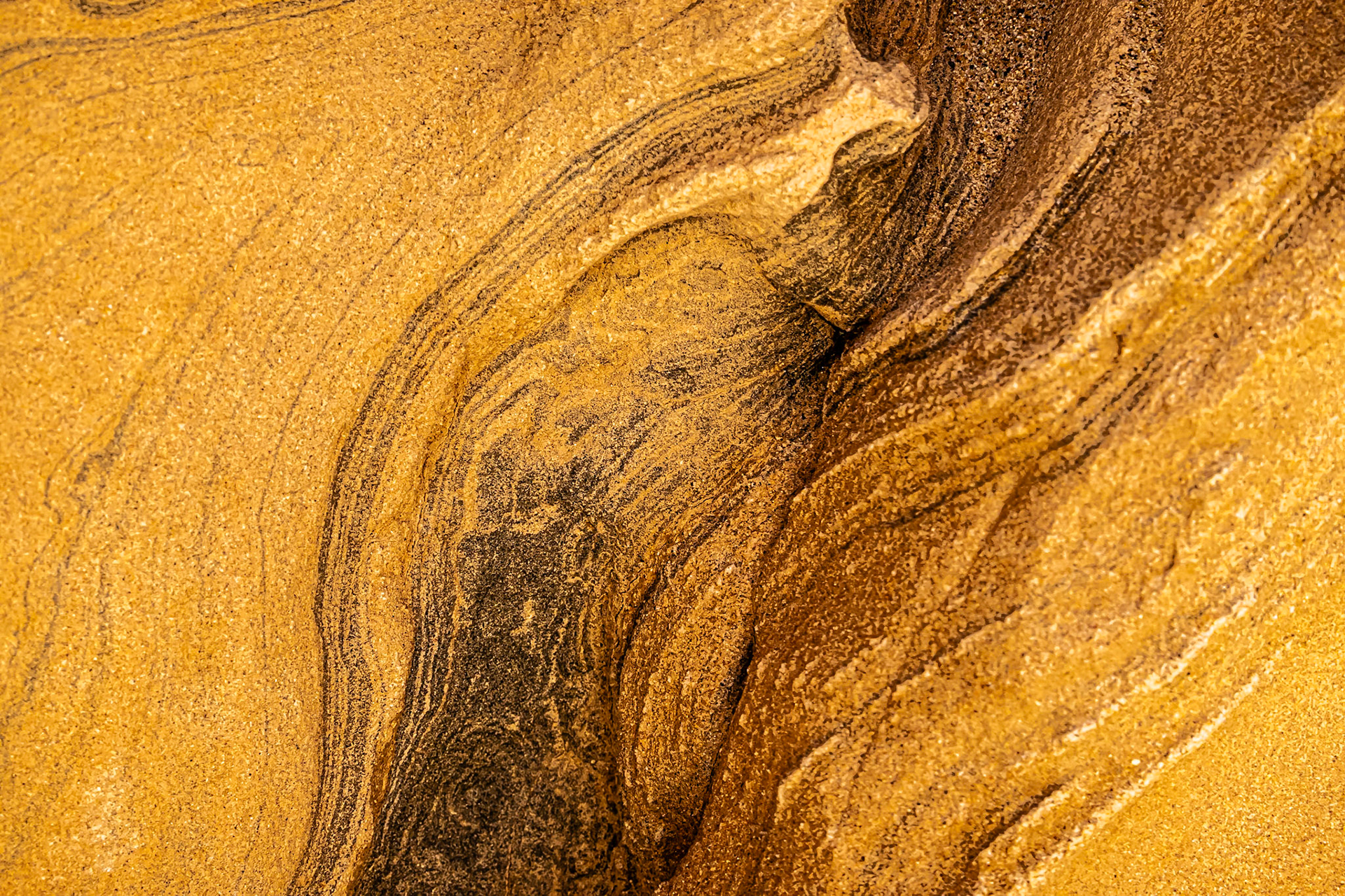 Canyonland: Abstract perspective of sandstone in Calcite Canyon, Anza-Borrego Desert State Park.