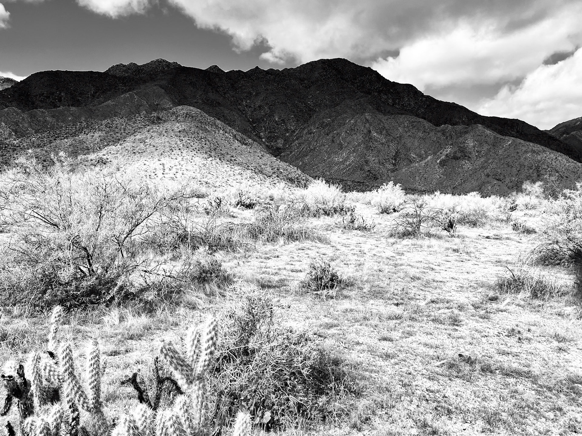 San Ysidero Mountains: Infrared image of the San Ysidro Mountains viewed from the Visitors Center at Anza-Borregro State Park.