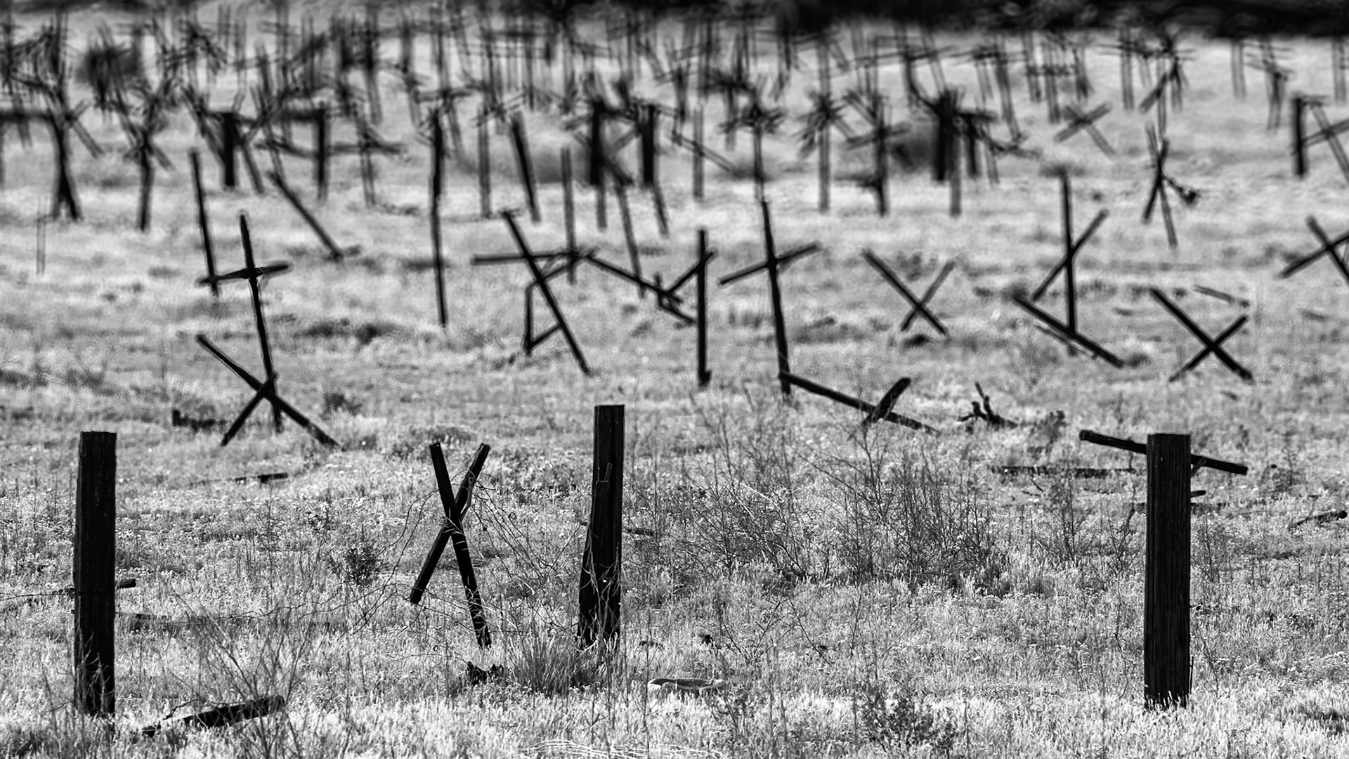 Dying on the Vine: Climate change, water rights and scarcity wrought the collapse of this once promising orchard.