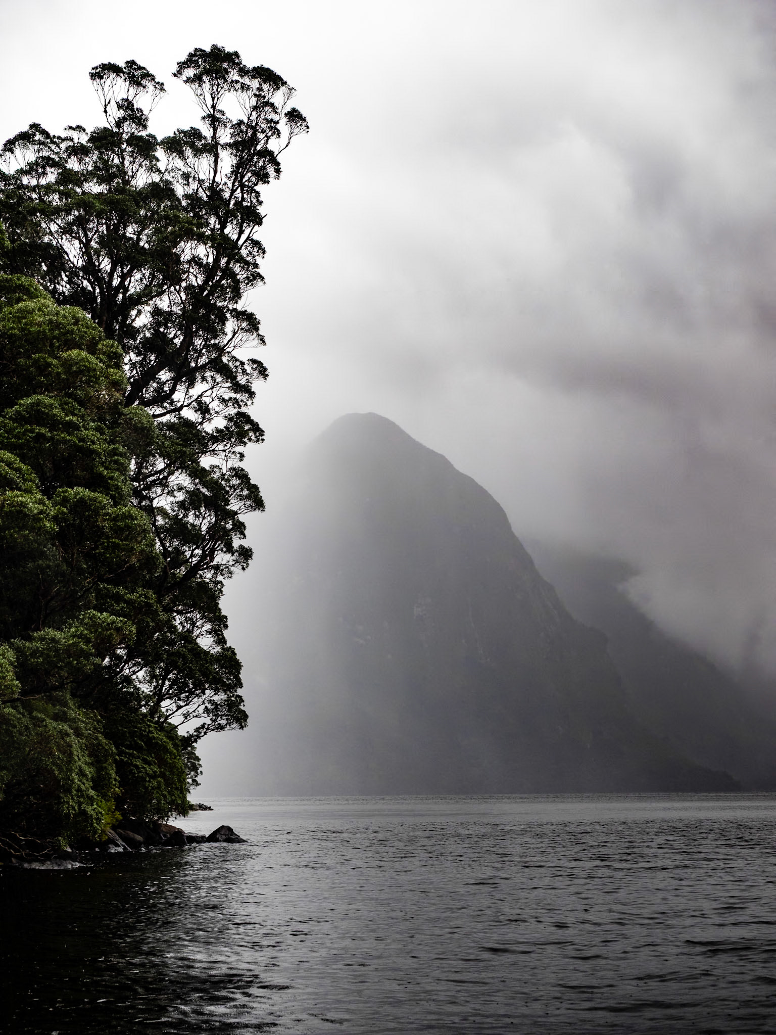 Misty Shoreline, Doubtful Sound NZ: Forest and mountains of Doubtful Sound slumber under a blanket of cool fog and mist, emerging for a moment as our vessel drifts by and then returning to undiisturbed solitude.