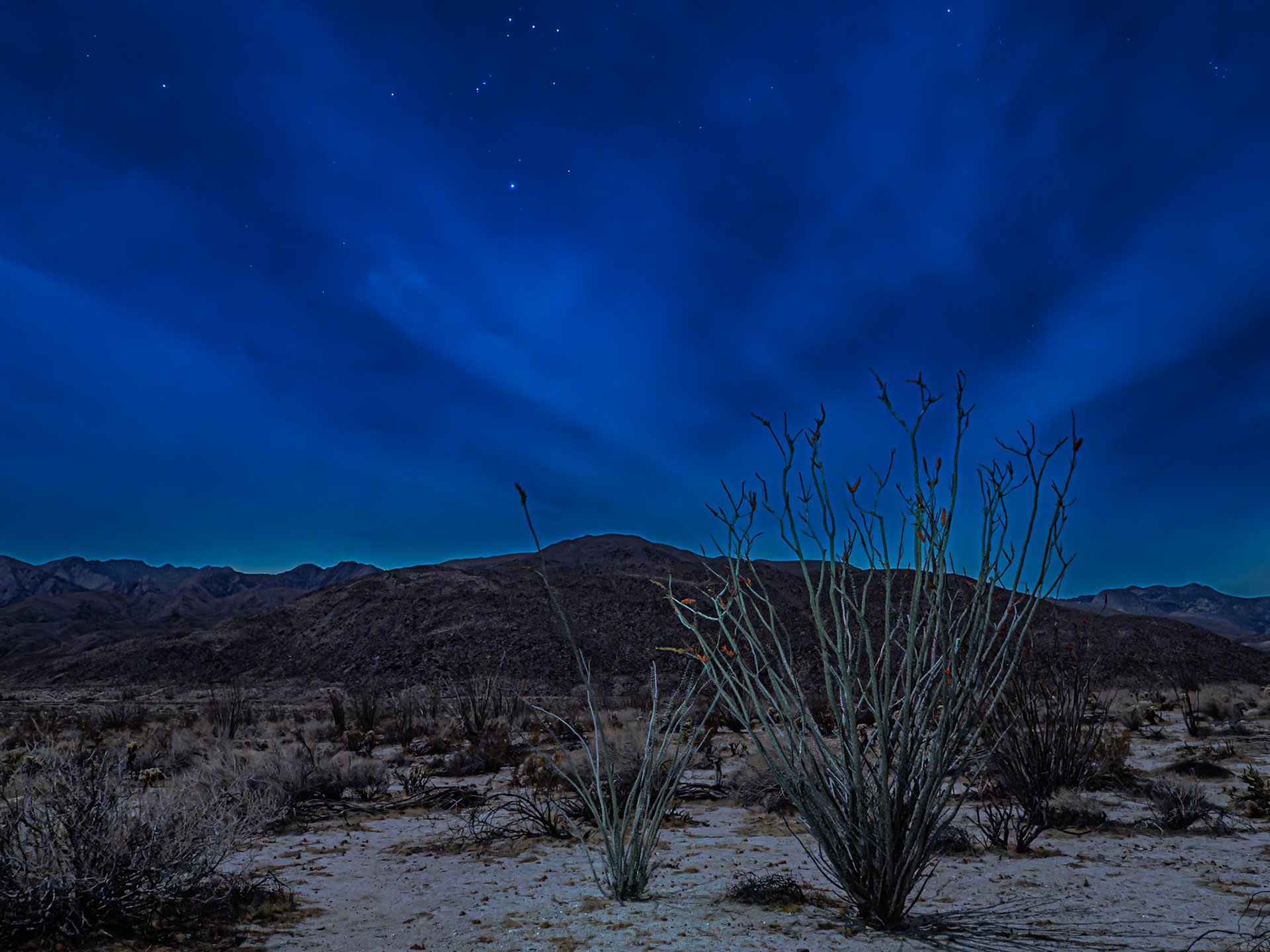 Ocotillo Under Orions Belt: Light from a near full moon filters through a cloudy sky with stars peeking out over blooming Ocotillo cactus in Coyote Canyon, Anza-Borrego Desert State Park.  The three stars of Orion's Belt stand astride Rigel at the top center of the image.  Light painting was used to highlight the ocotillo in the foreground in an 8-sec long-exposure image taken with an OM Systems OM-5 camera.   The image was processed in Adobe Lightroom using available global and masking tools.