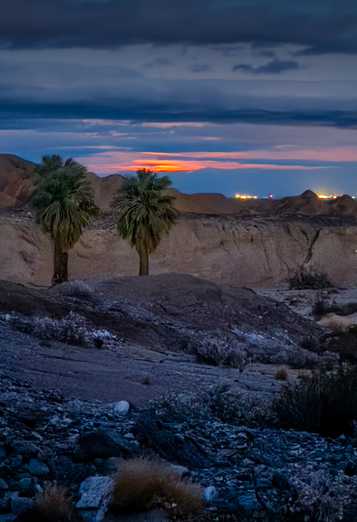 Moonrise Over the Palms: At the 17 Palms Oasis looking east towards Salton City and the Salton Sea.  Photographed as the moon was breaking above the horizon on the cusp of twlight just before dark..