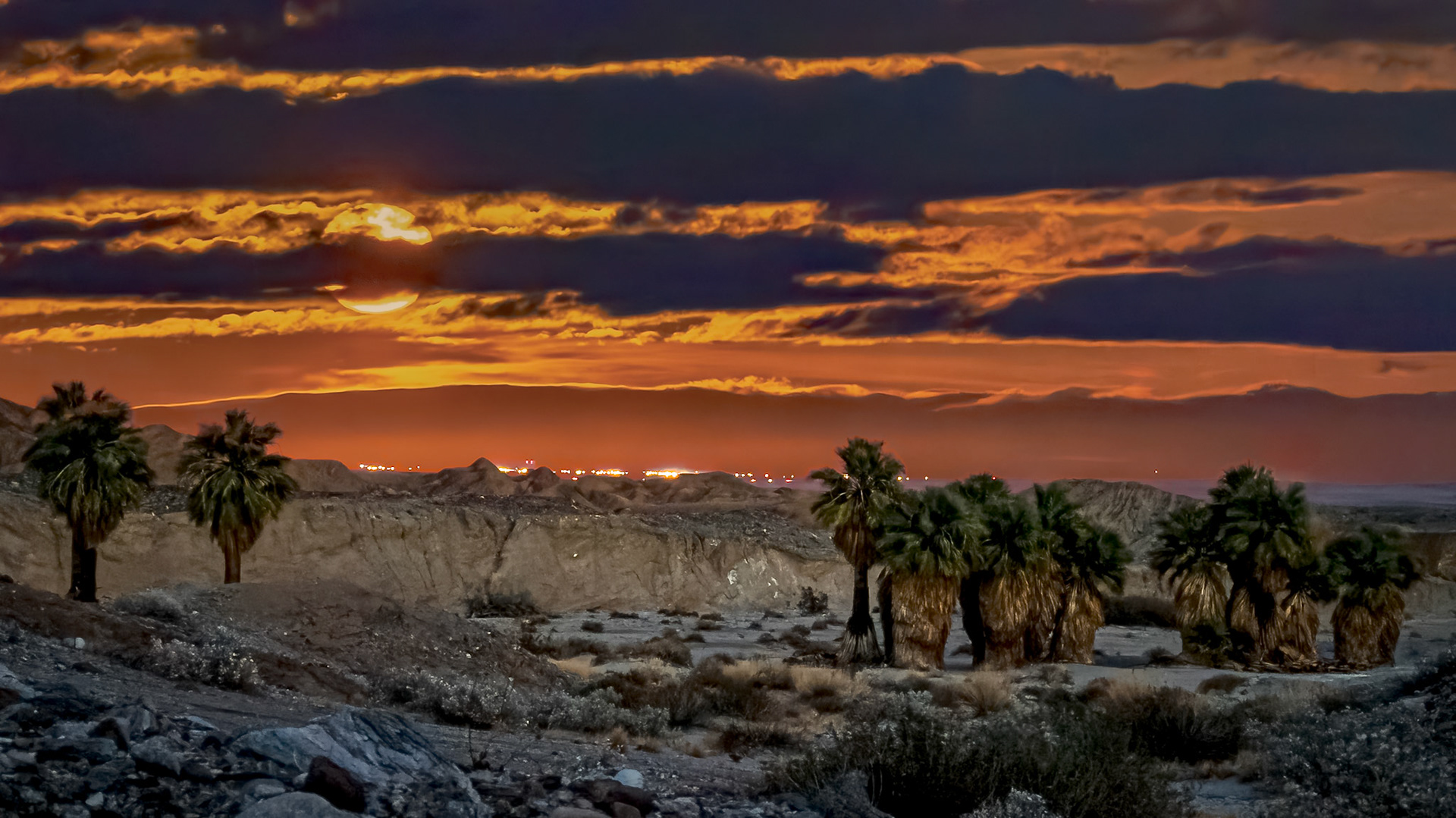 Oasis Moonrise: At the 17 Palms Oasis looking east towrds tthe Salton Sea.The palm grove in the foreground was photographed in the blue hour after sunset.  The moonrise in the background was photographed in twilight almost an hour after sunset.
