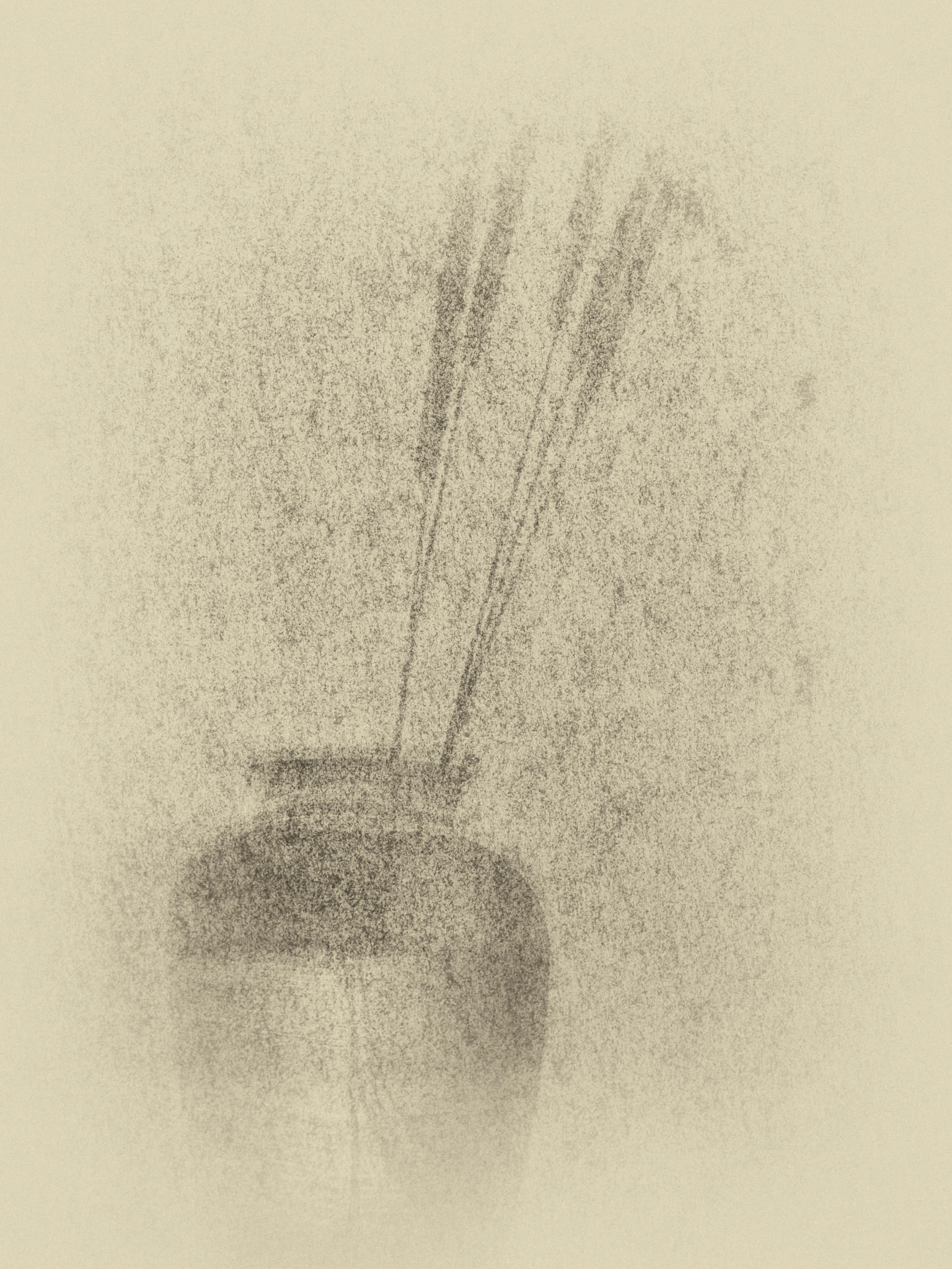 Timothy Grass - Paper Silhouette: Spring Timothy Grass silhouetted onto transparent parchment tracing paper and converted to Antique Plate in Silver Efex Pro.
