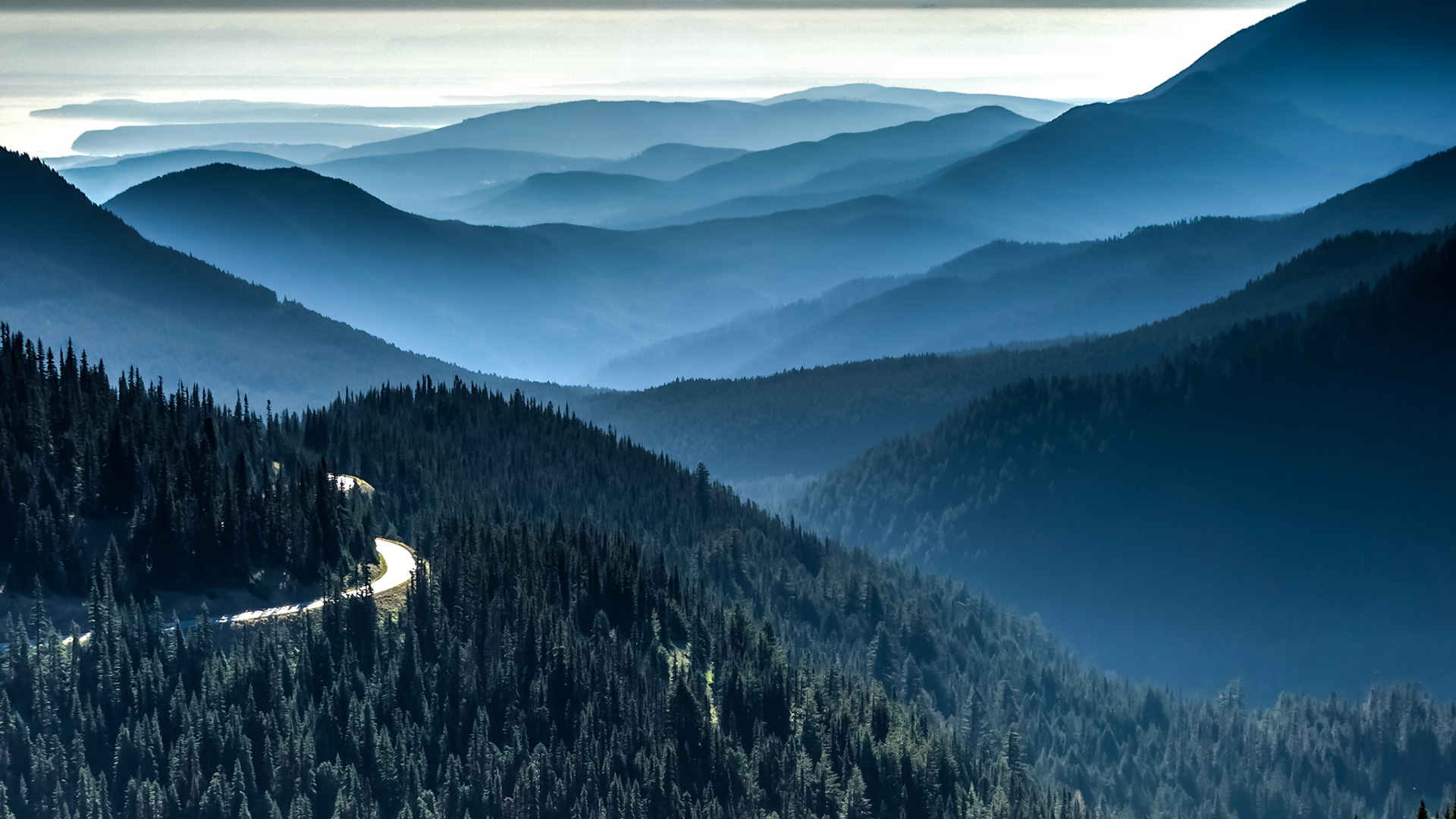 Mountains to the Sea: The road from Hurricane Ridge descends about 5,200 feet the through the foothills of the Olympic Mountains to the Straits of Juan de Fuca near Port Angeles WA.