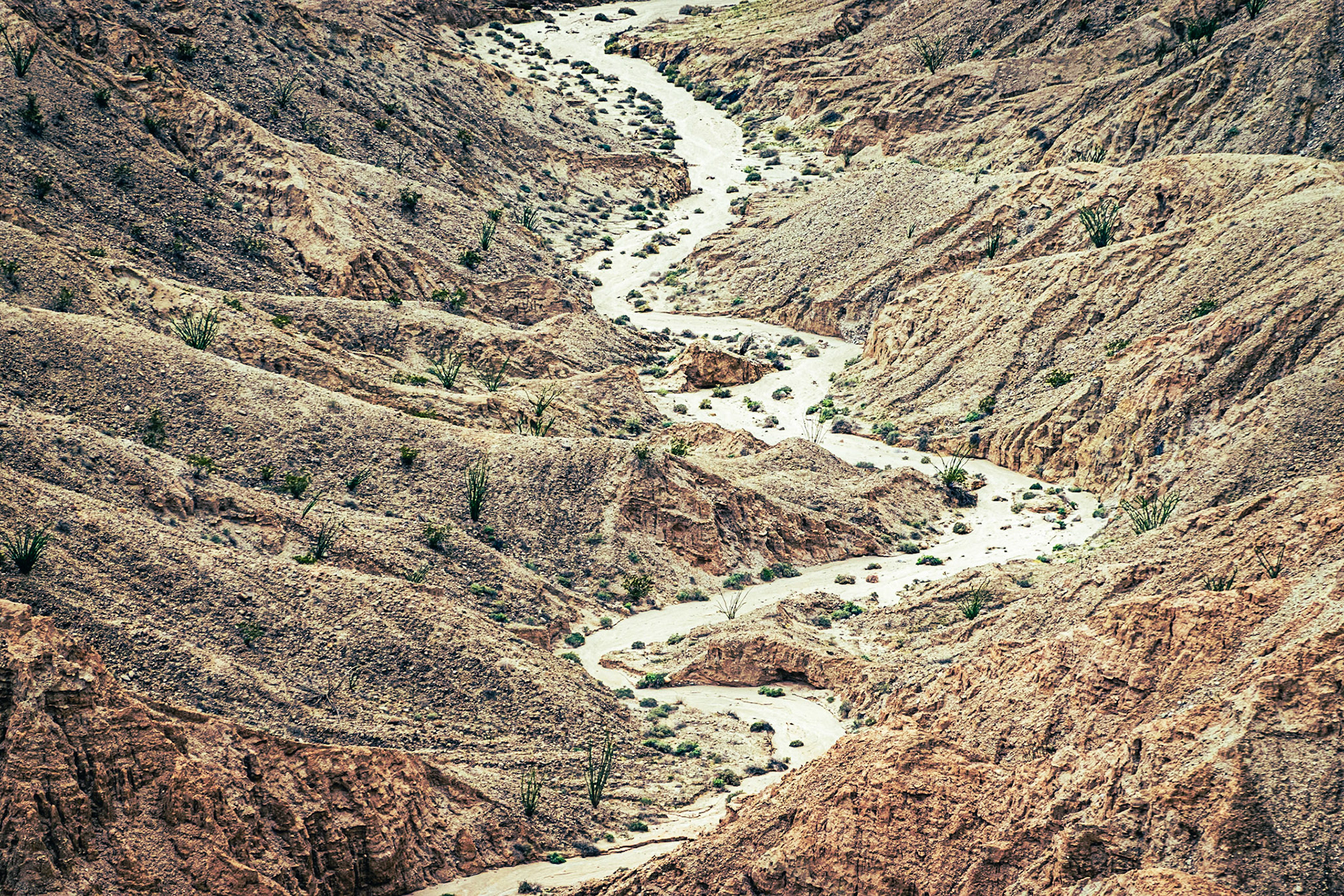 Desert Wash Landscape: In the Borrego Badlands viewed from Font's Point