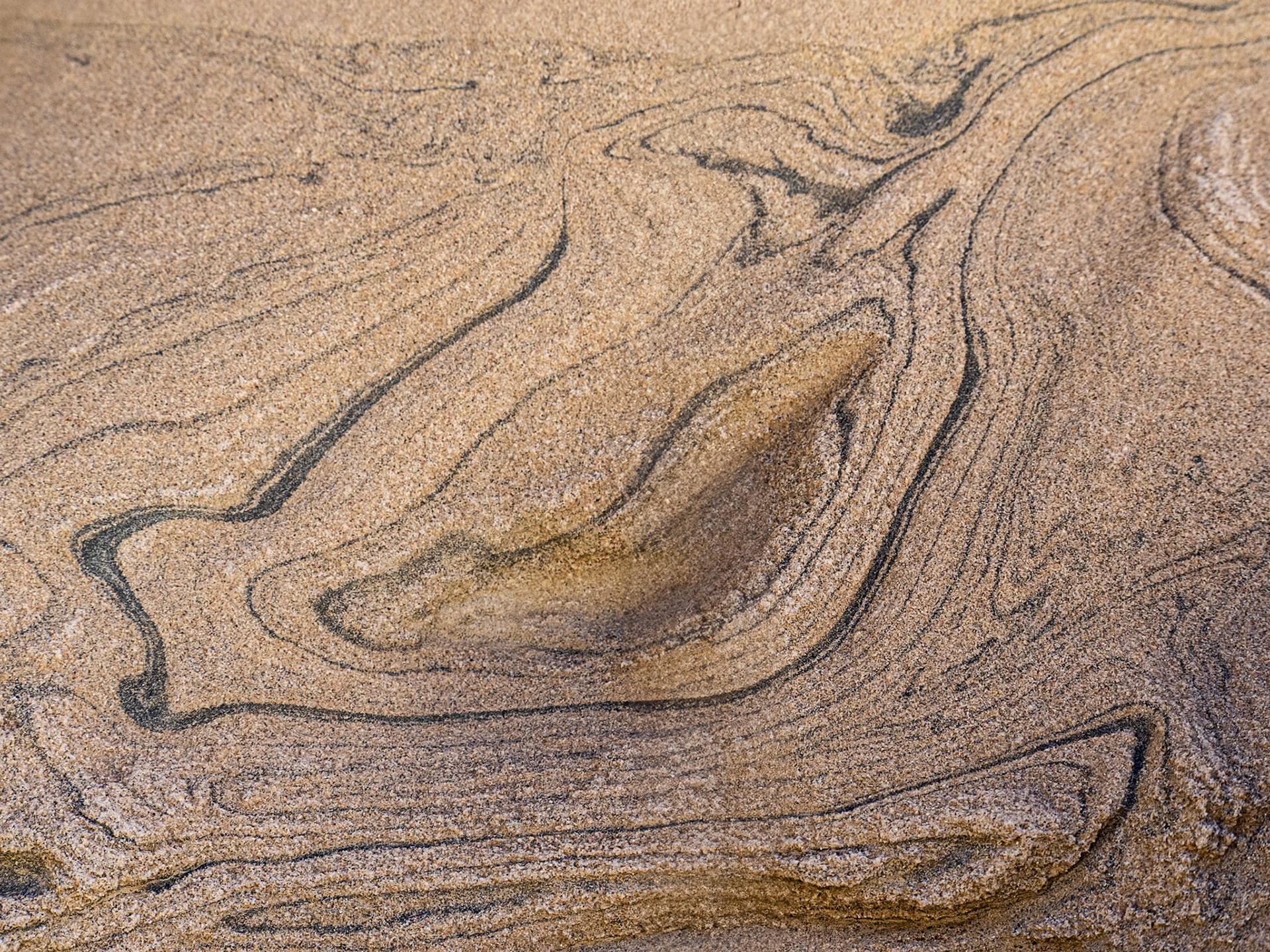 Topographic Stone: In the slot canyon at West Palm Wash, Anza-Borrego Desert State Park