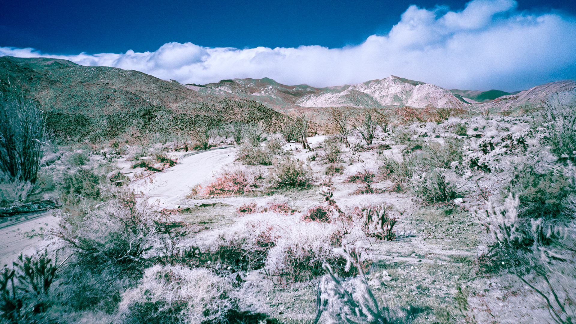 Road to Coyote Canyon FCIR: Clouds threaten rain over the San Ysidro Mountains at the head of Coyote Caanyon in the Anza-Borrego Desert State Park.  False color infrared (720 nm) image.
