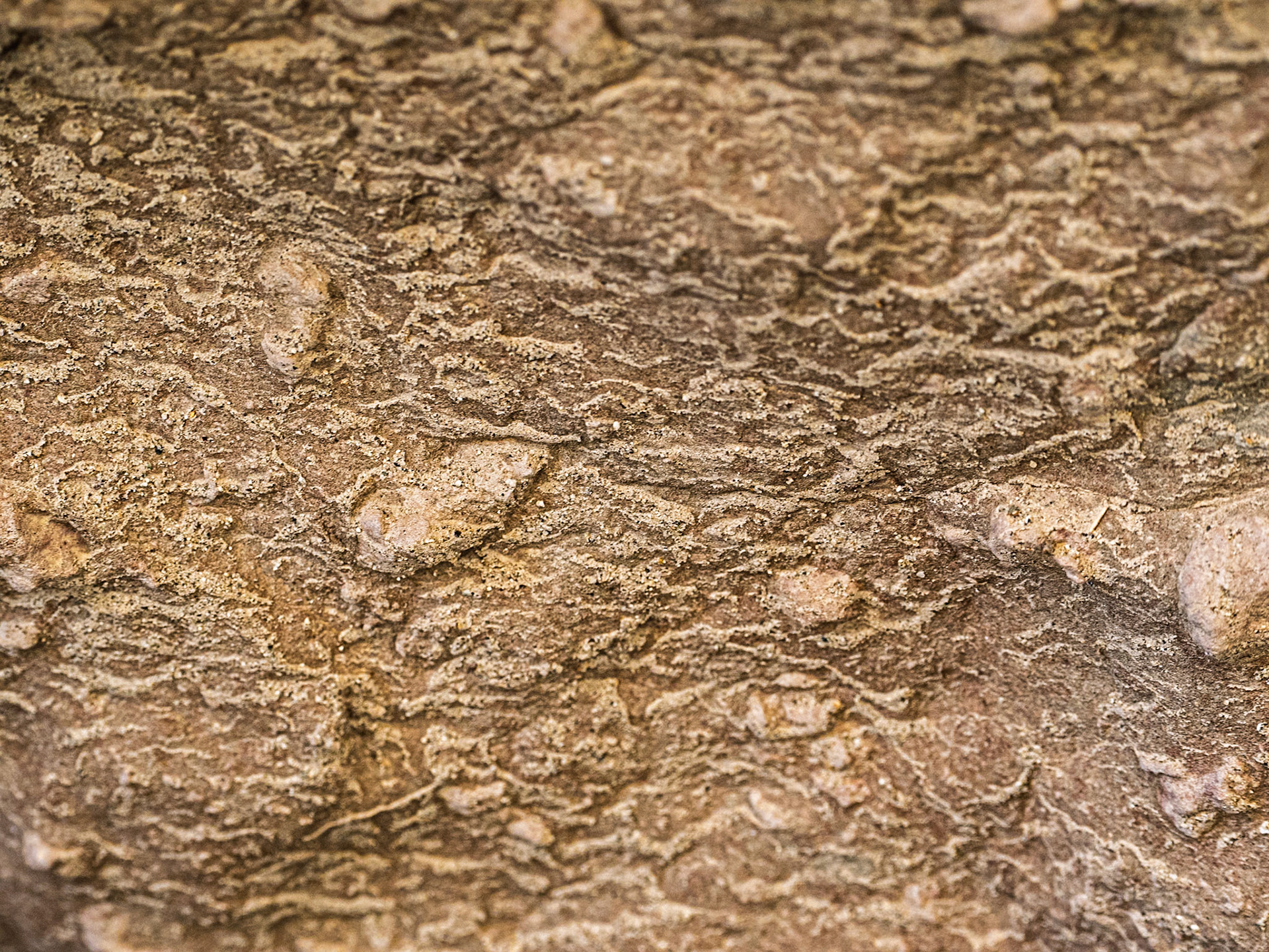 Sandstone Art: In the slot canyon at West Palm Wash, Anza-Borrego Desert State Park