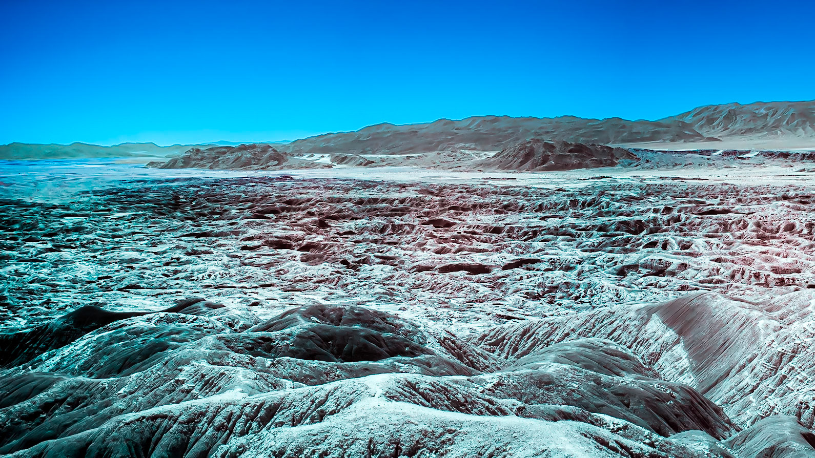 Borrego Badlands and Twin Buttes - IRFC: The Borrego Badlands, the East and West Buttes of Borrego Mountain and the Salton Sea viewed from Vista del Malpais.   Panorama of several infrared  (720 nm) false color photos.