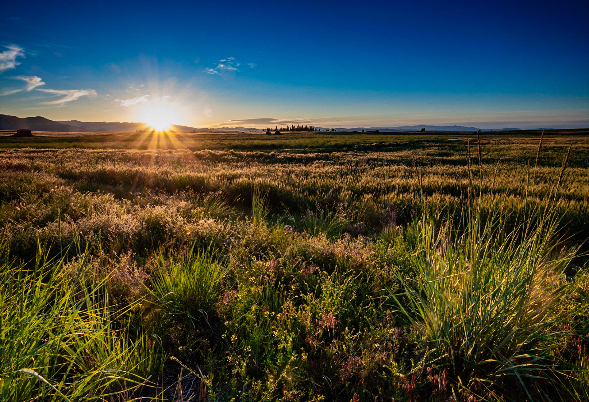 Plateau Sunset: Sunset on fields of dryland wheat on the Waterville Plateau near Dyer Washington.  Haystack rocks in the distance are glacial erratics left by retreating icesheets.