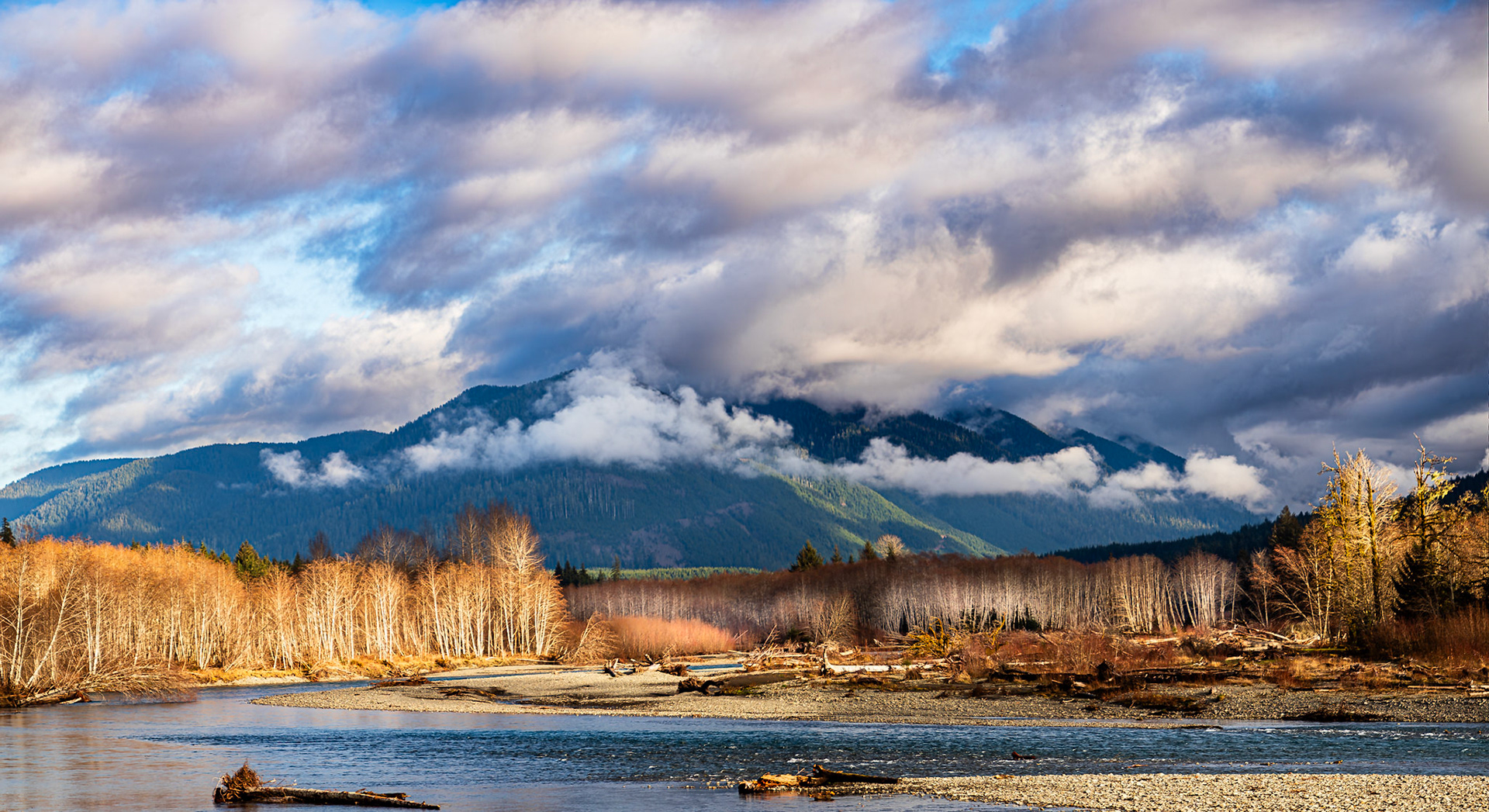 Bend in the Hoh: The Hoh River winds through Sitka spruce and red alder rain forest.