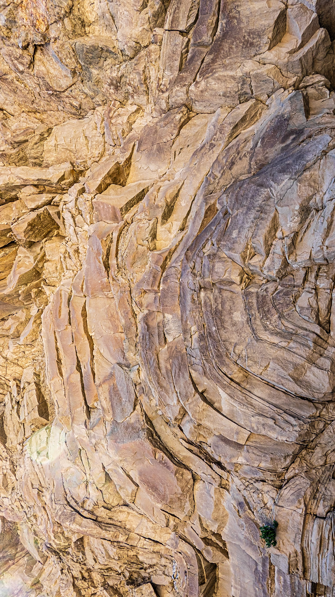 Desert Anticline: A prominent geological feature on the Split Mountain Road in the Anza-Borrego Desert.
