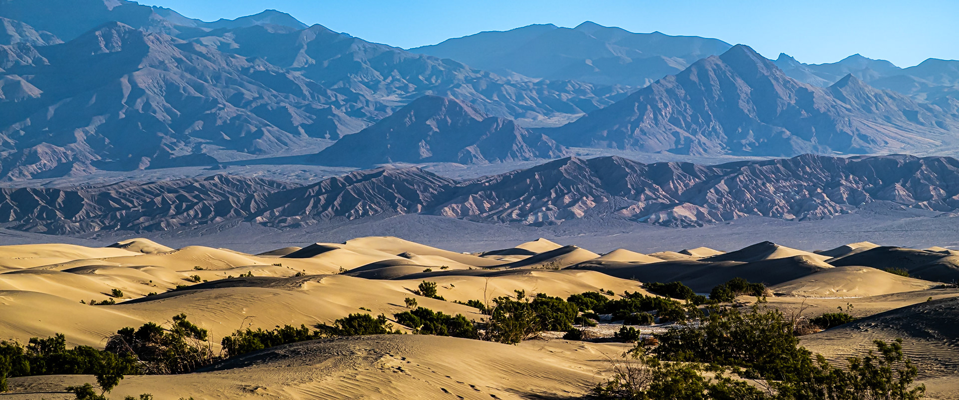 The Grapevine Mountains in the background.
