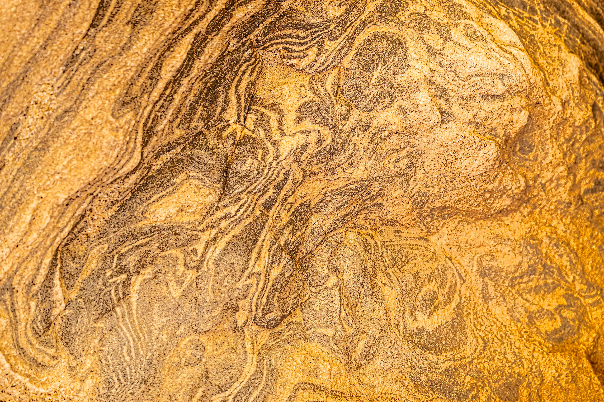 Contour Map: Abstract perspective of sandstone in Calcite Canyon, Anza-Borrego Desert State Park.