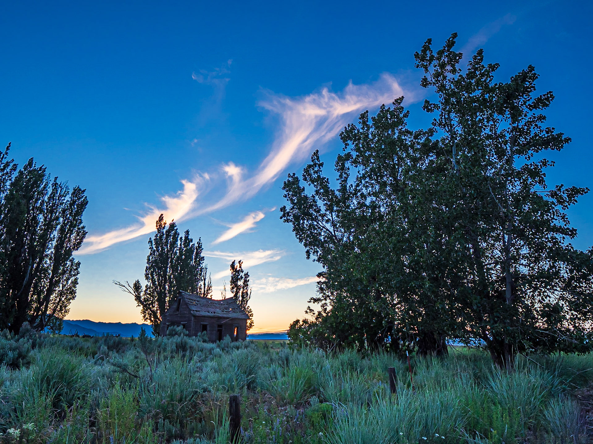 Old Homestead: An old homestead nestled among shade trees on the Waterville Plateau near Dyer Washington.