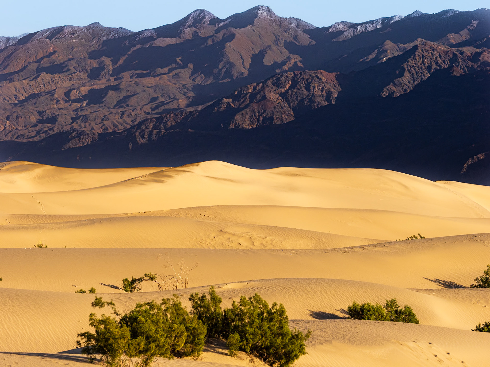 Mesquite Flats sand dunes and the Grapevine Mountains in the background.