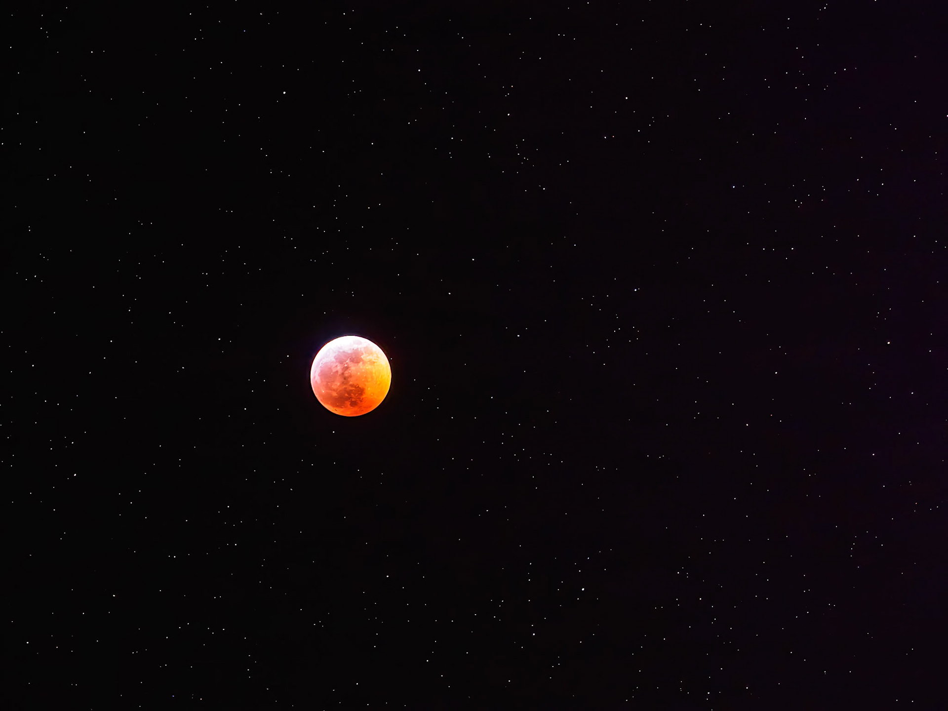 Blood Moon Rising: The full moniker for this event is the Super Wolf Blood Moon.  It's a super moon because of its close proximity to earth, a wolf moon because it is the first full moon of the year and a blood moon because it is an eclipse.