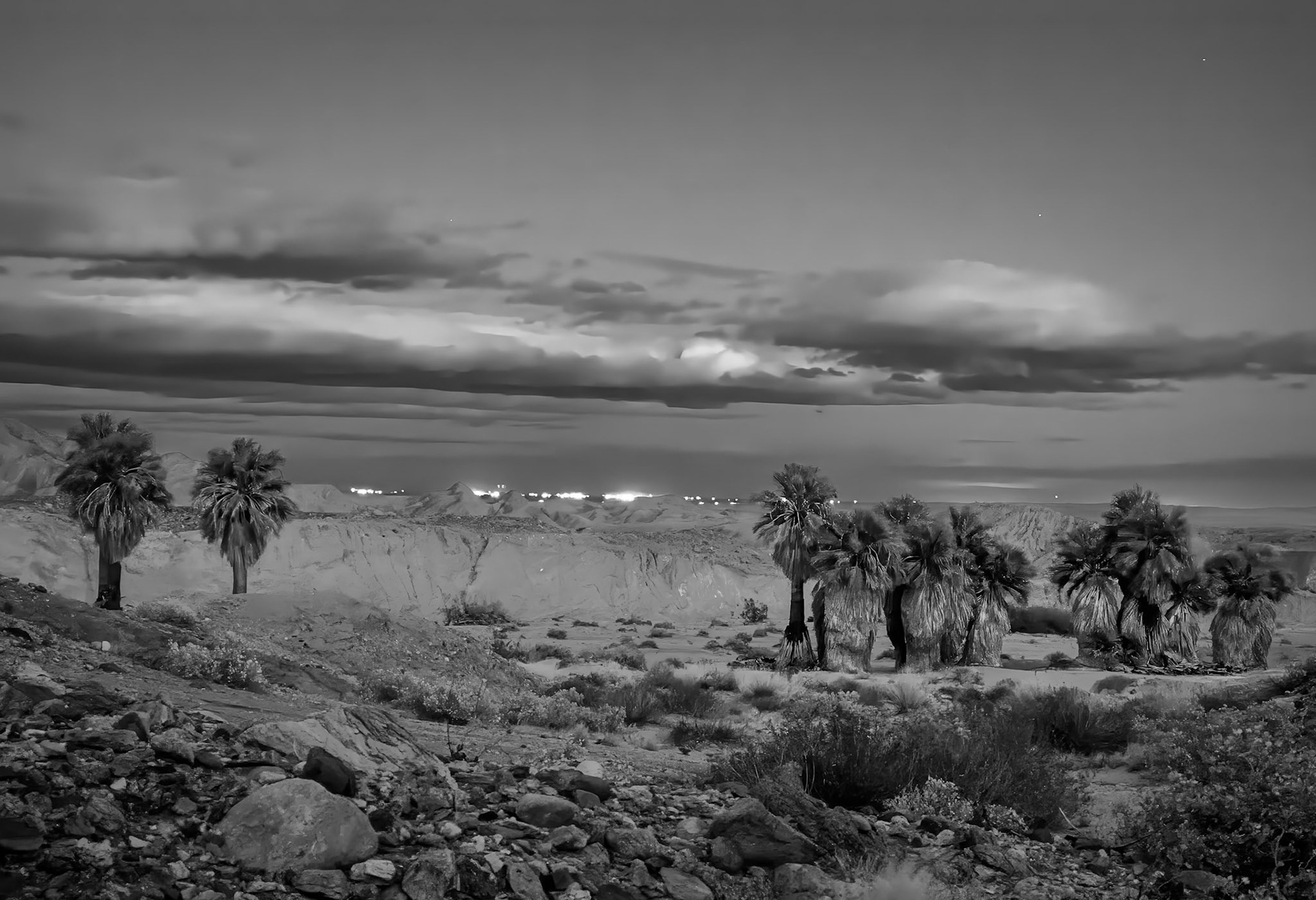 Oasis Blue Hour: At the 17 Palms Oasis looking east towrds tthe Salton Sea.