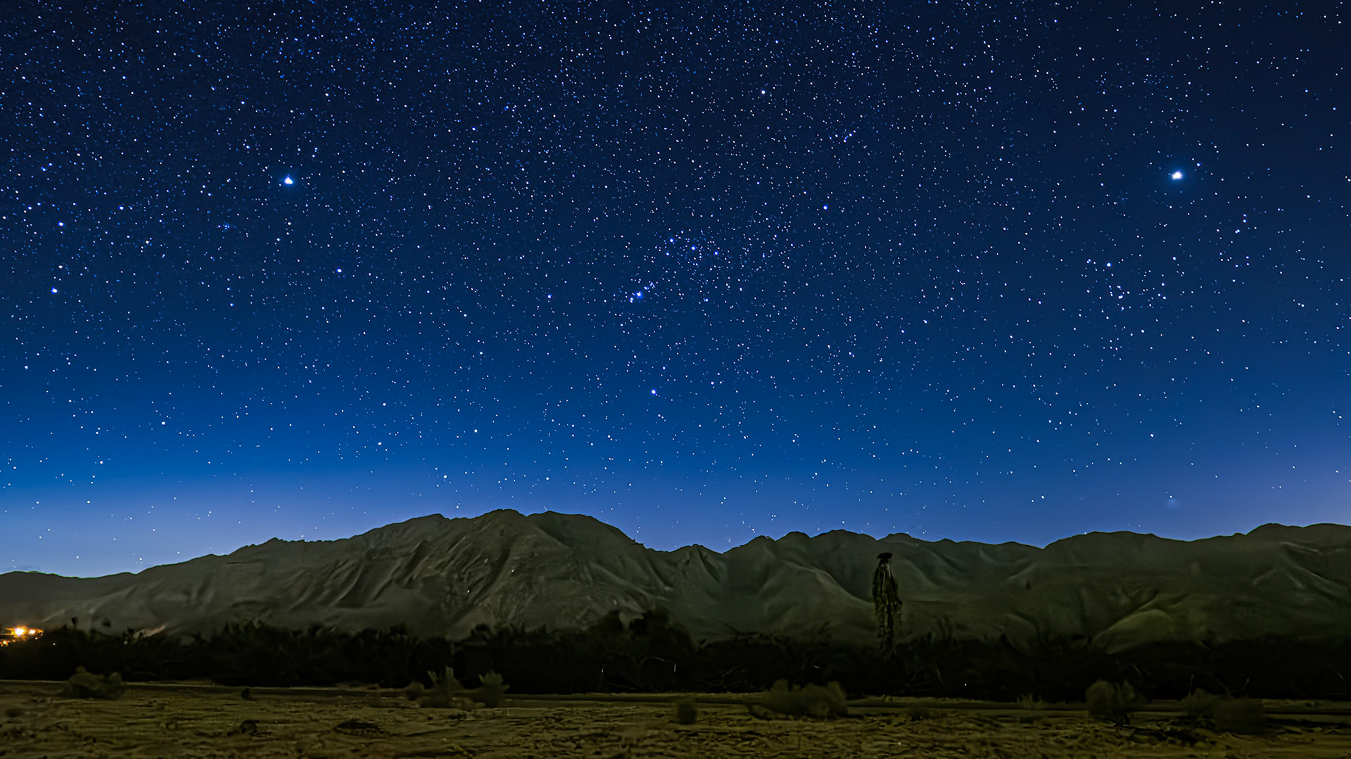Stars Above San Ysidro: Soft moonlight and a clear starry sky washes gentle light over an orange grove near Borrego Springs and the nearby San Ysidro mountains.