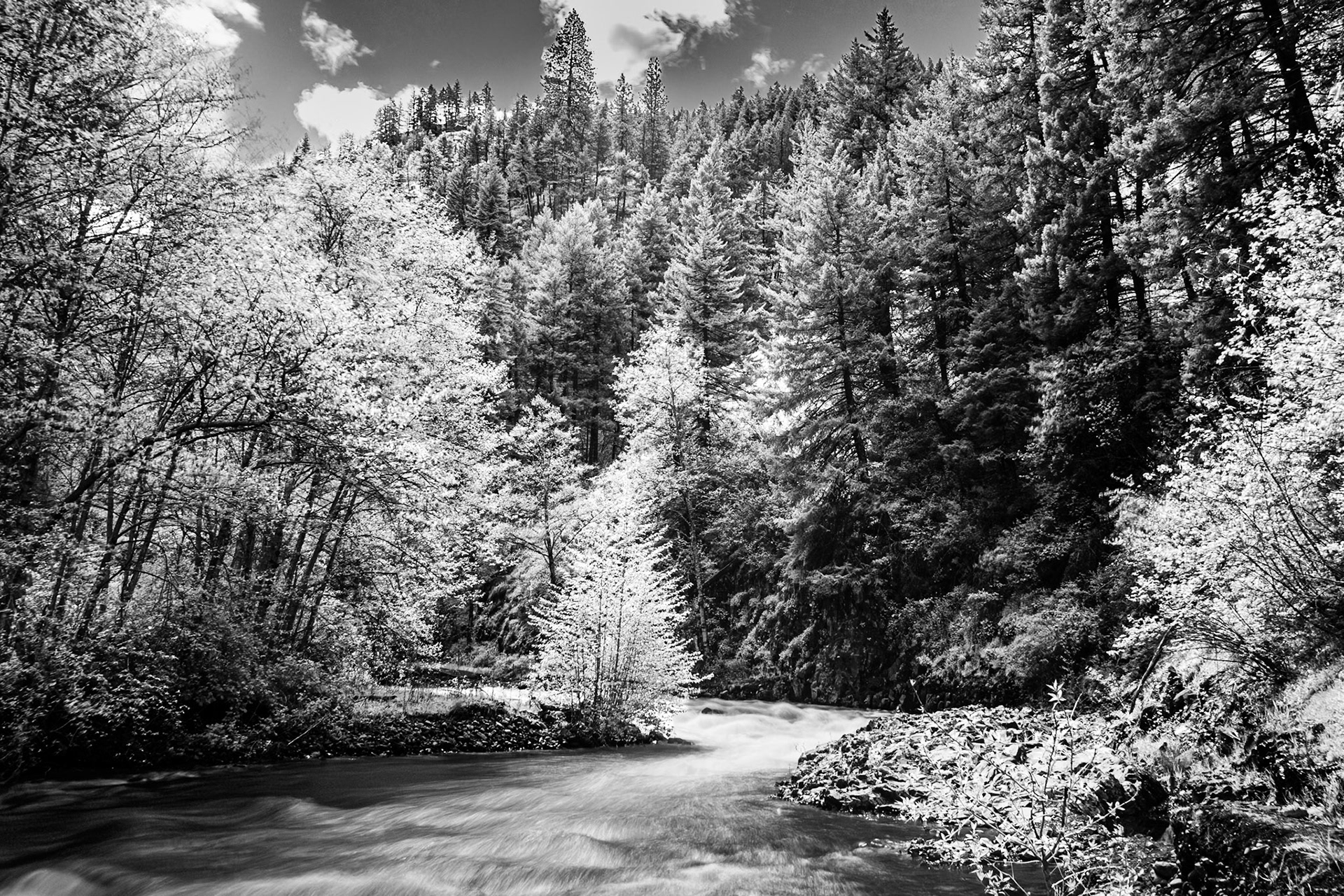 South Fork IR Black-and-White: The South Fork of the Walla Walla River flows from the Blue Mountains in northeast Oregon - IR (720 nm infrared Black-and-White conversion)