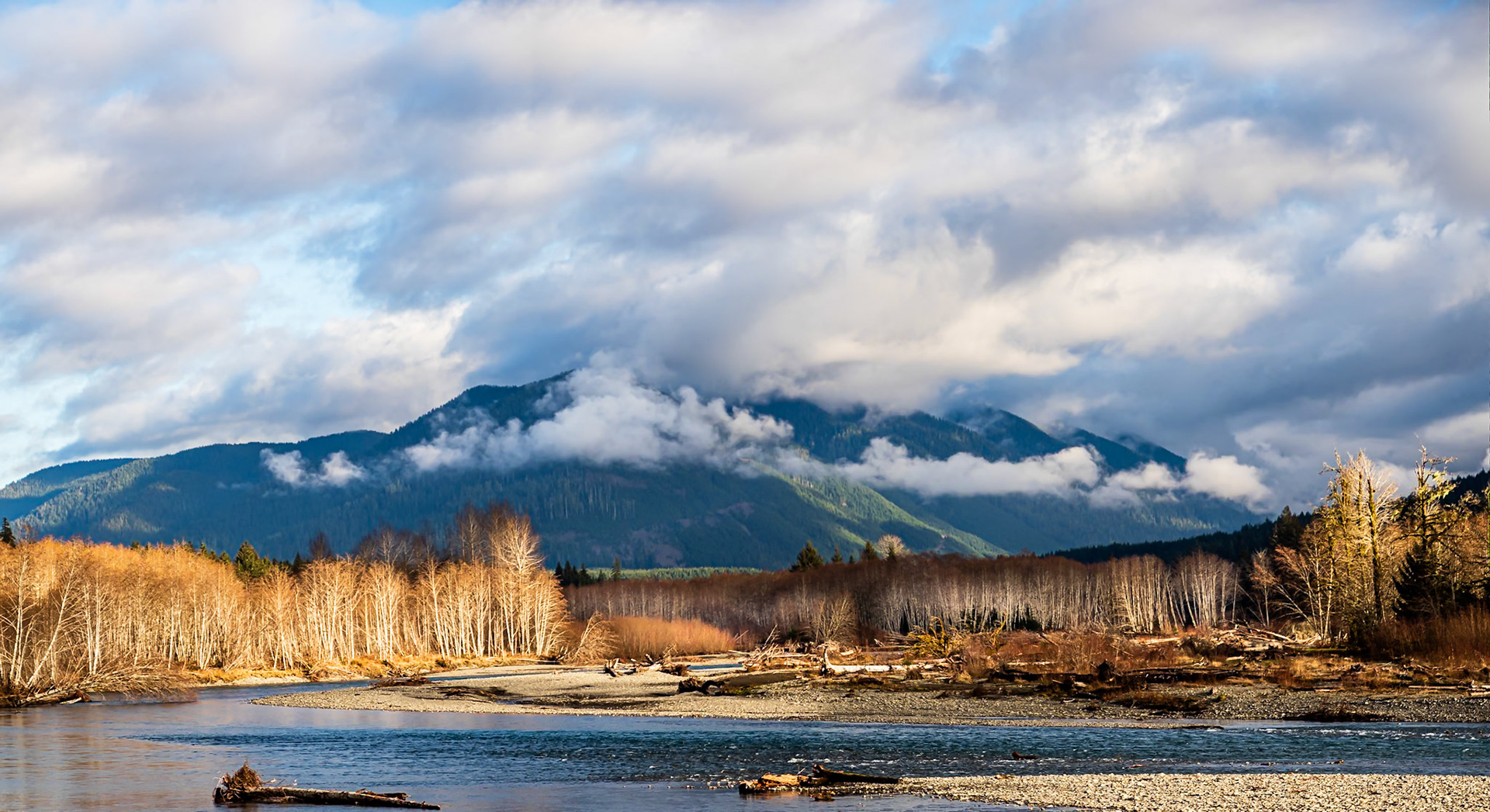 Bend in the Hoh: The Hoh River winds through Sitka spruce and red alder rain forest.
