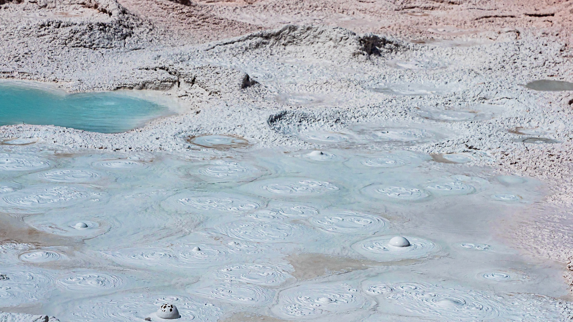 Bubbling Mud: One of the hot springs at Fountan Paint Pots located in the Lower Geyser Basin, Yellowstone National Park.