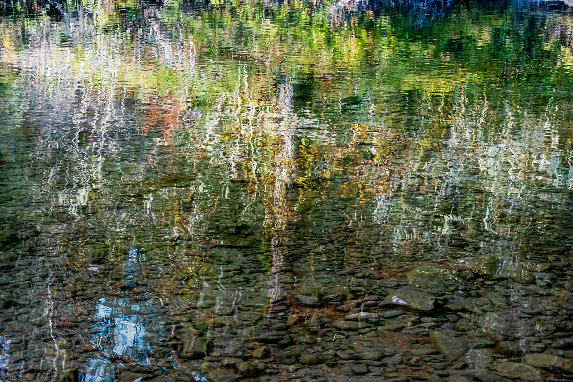 River Reflection: On the Middle Fork of the Snoqualmie River.