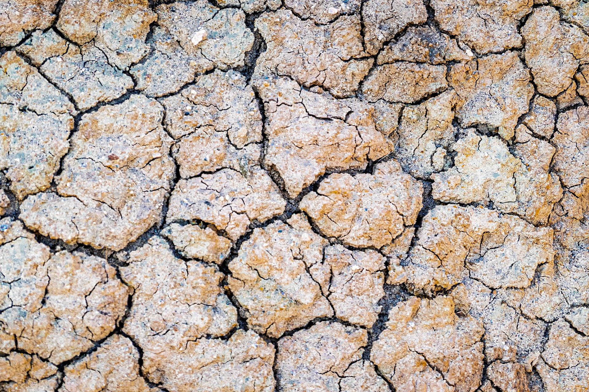 A Very Dry Year: Parched earth in the Anza-Borrego Desert.