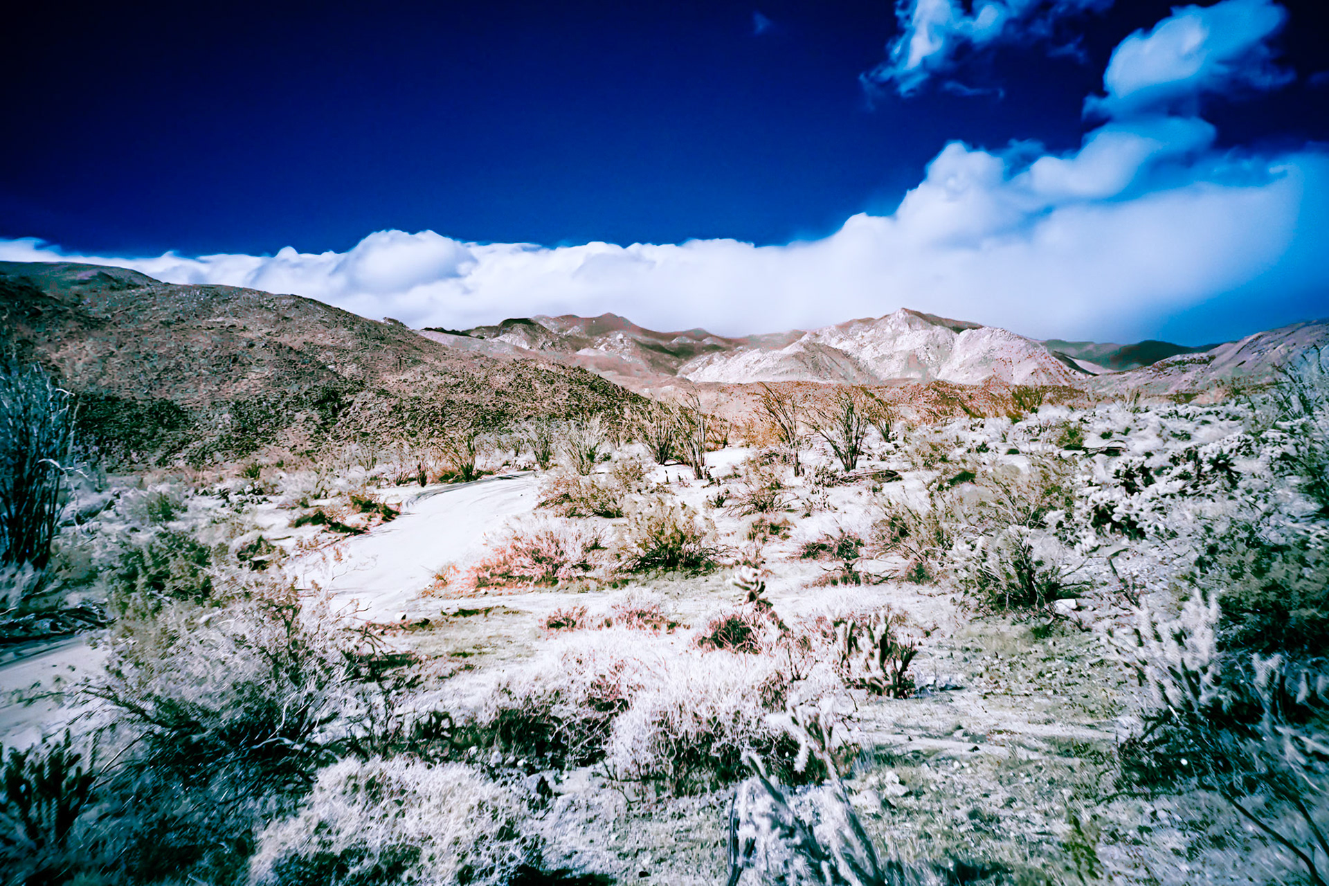Road to Coyote Canyon FCIR: Clouds threaten rain over the San Ysidro Mountains at the head of Coyote Caanyon in the Anza-Borrego Desert State Park.  False color infrared (720 nm) image.