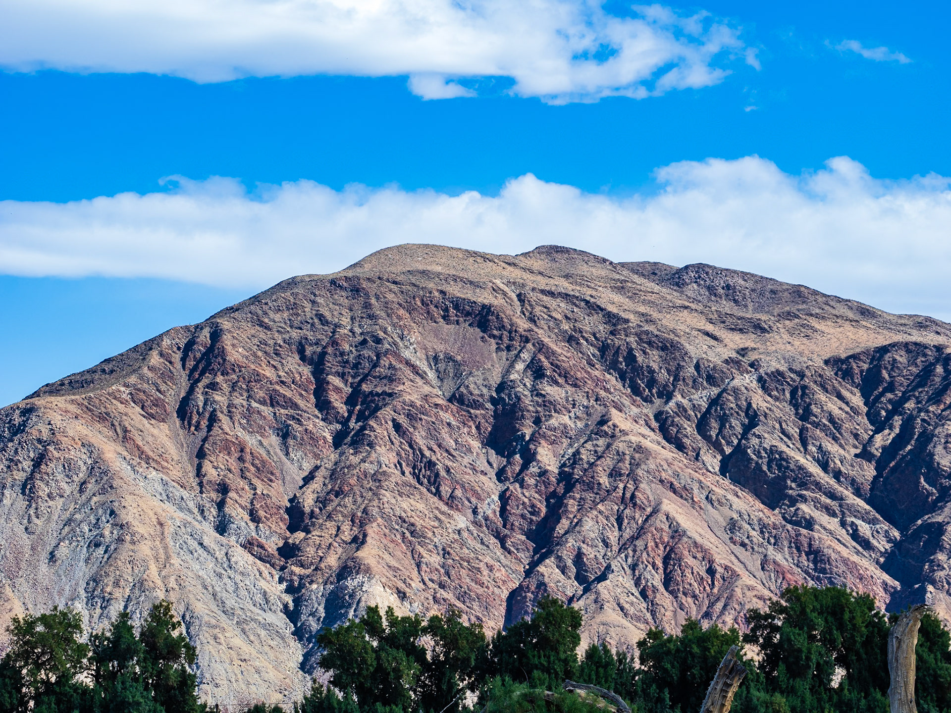 Coyote Mountain: In the Anza-Borrego Desert State Park