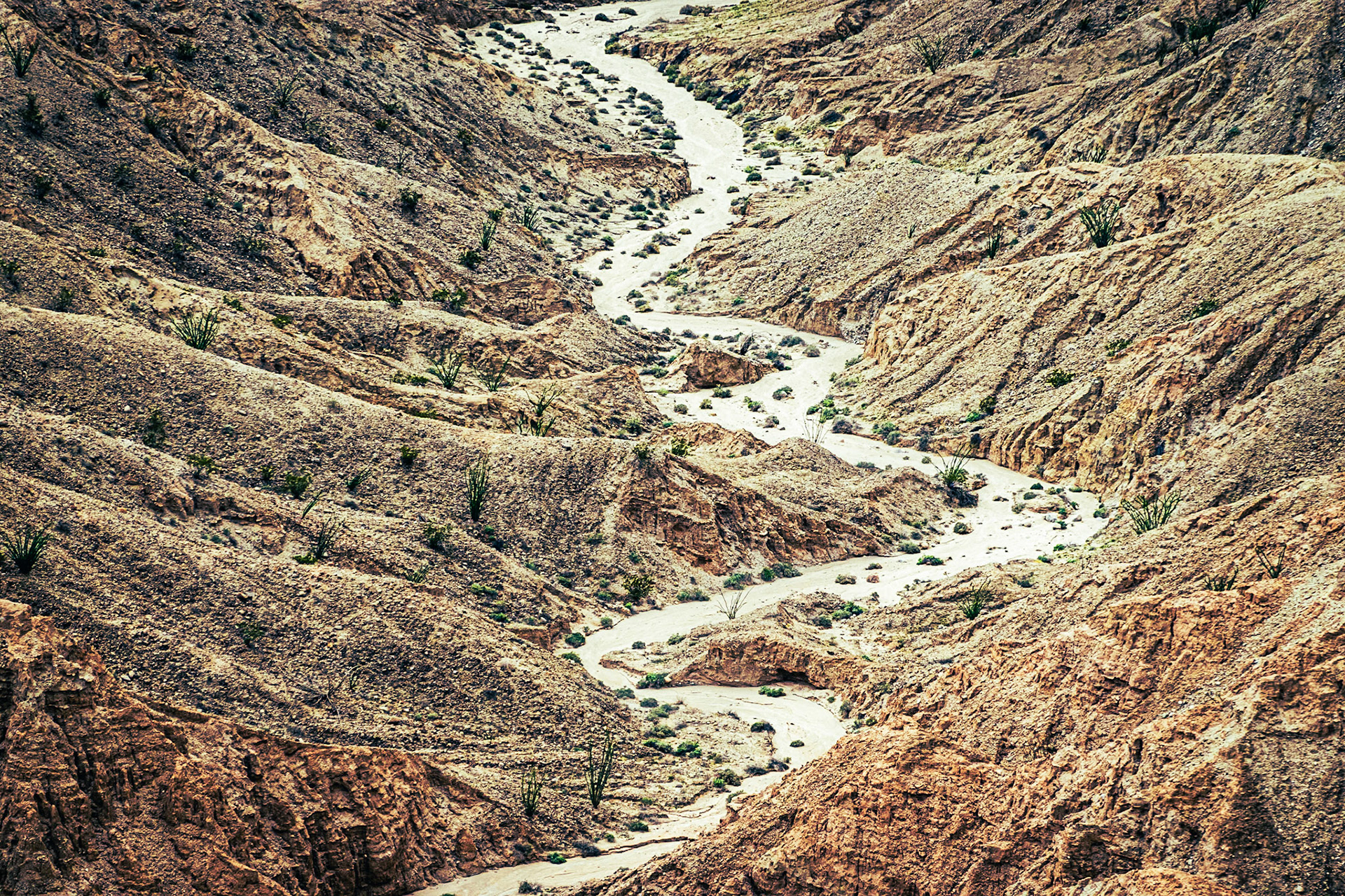 Desert Wash Landscape: In the Borrego Badlands viewed from Font's Point