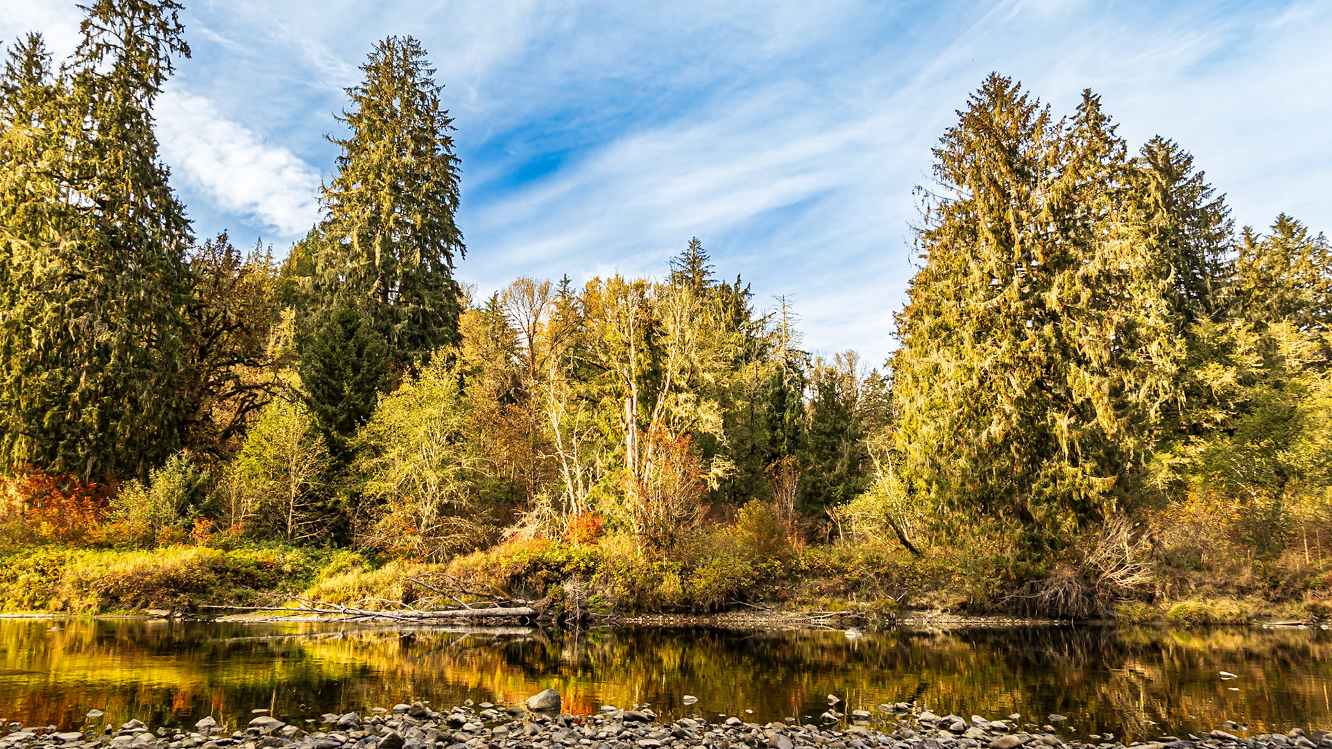 Fall River Reflection: A quiet reach on the Middle Fork of the Snoqualmie River.