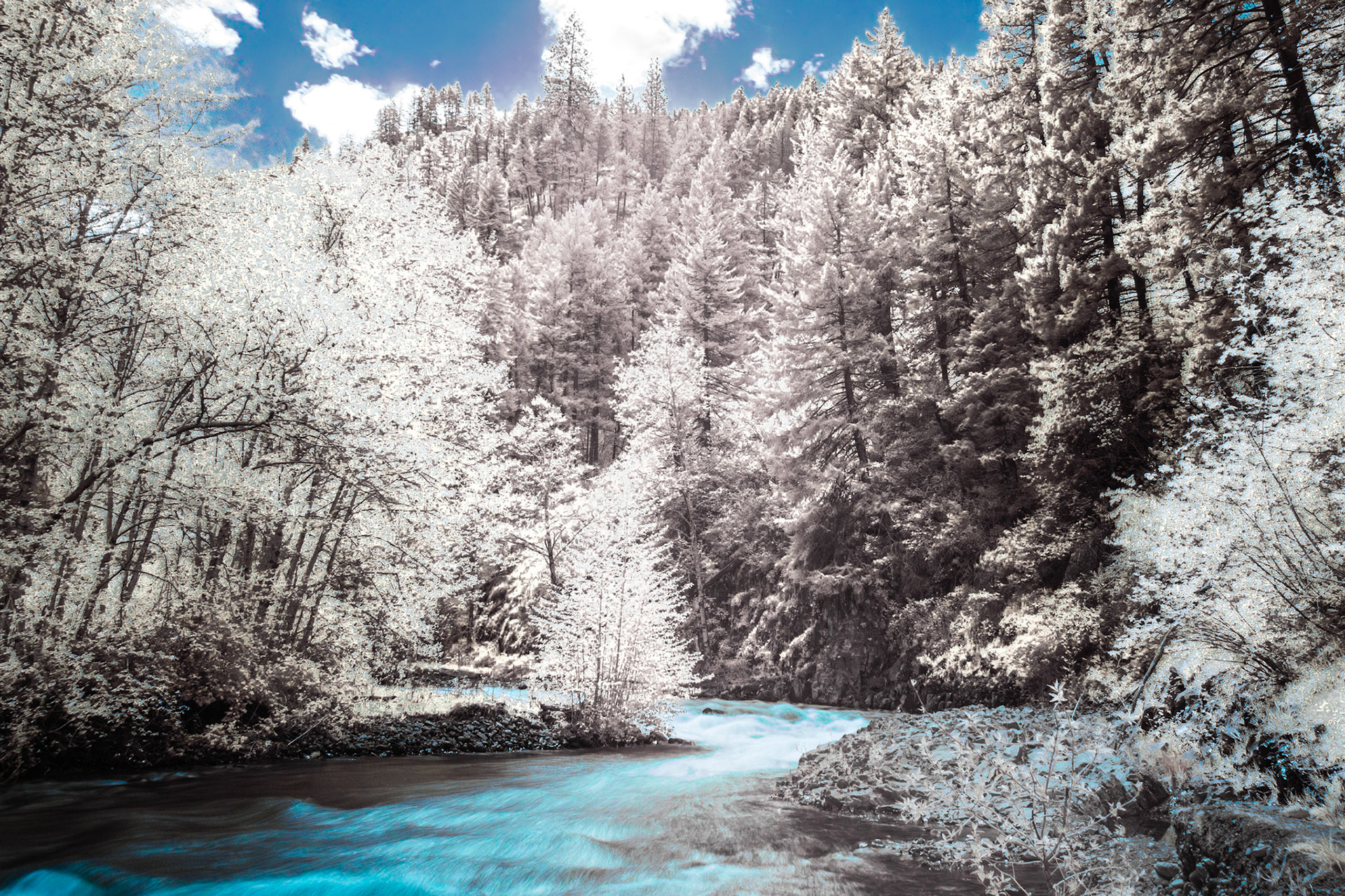 South Fork IRFC: The South Fork of the Walla Wall River flows from the Blue Mountains in northeast Oregon - IRFC (720 nm infrared false color image).
