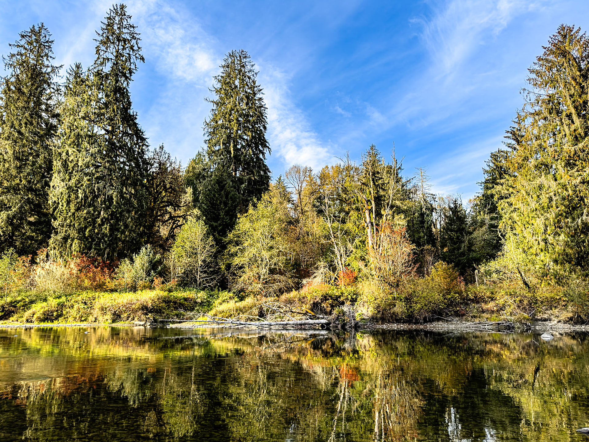 Reflecting Pool: On the Middle Fork of the Snoqualmie River.