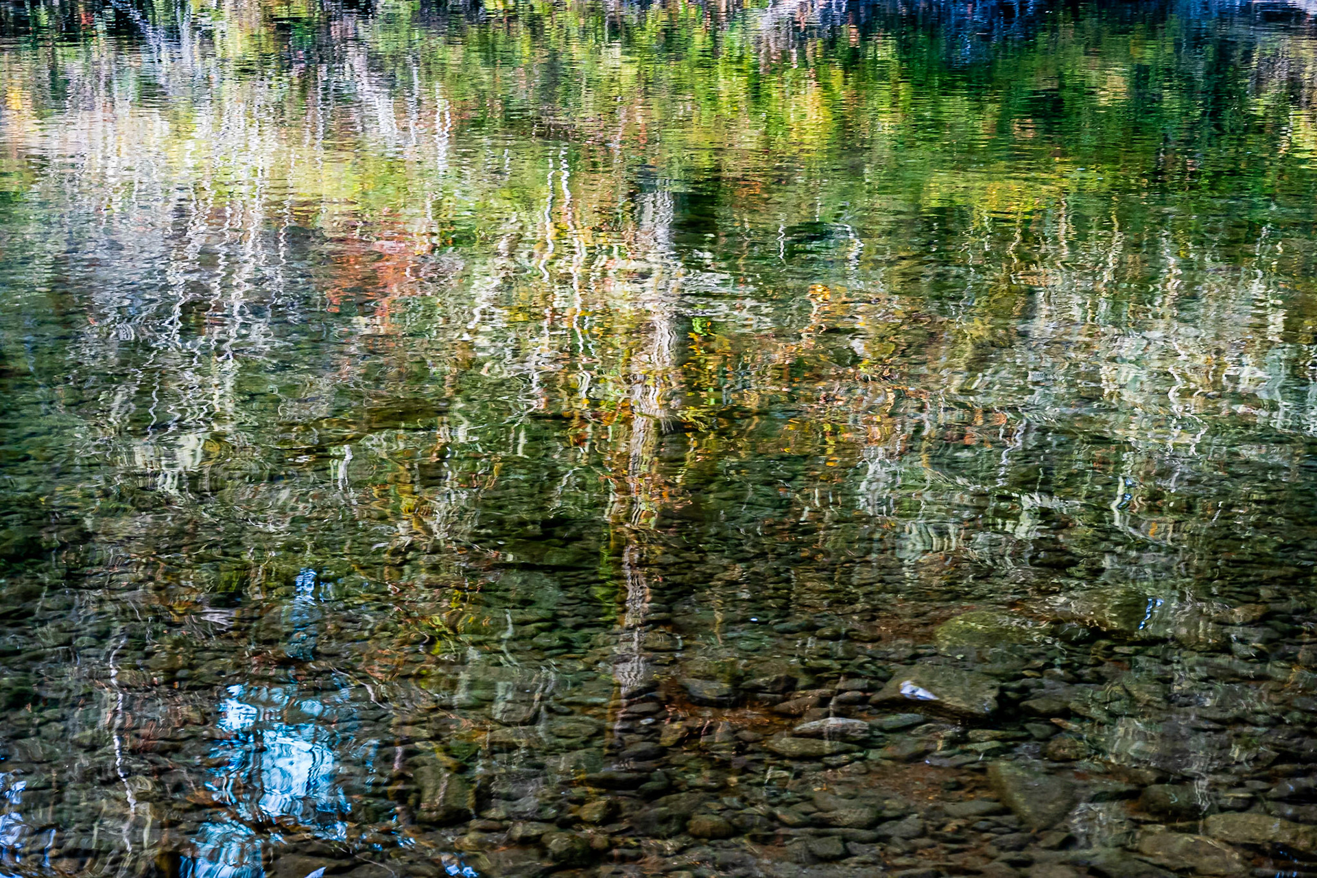 Quiet Reflection: On the Middle Fork of the Snoqualmie River.