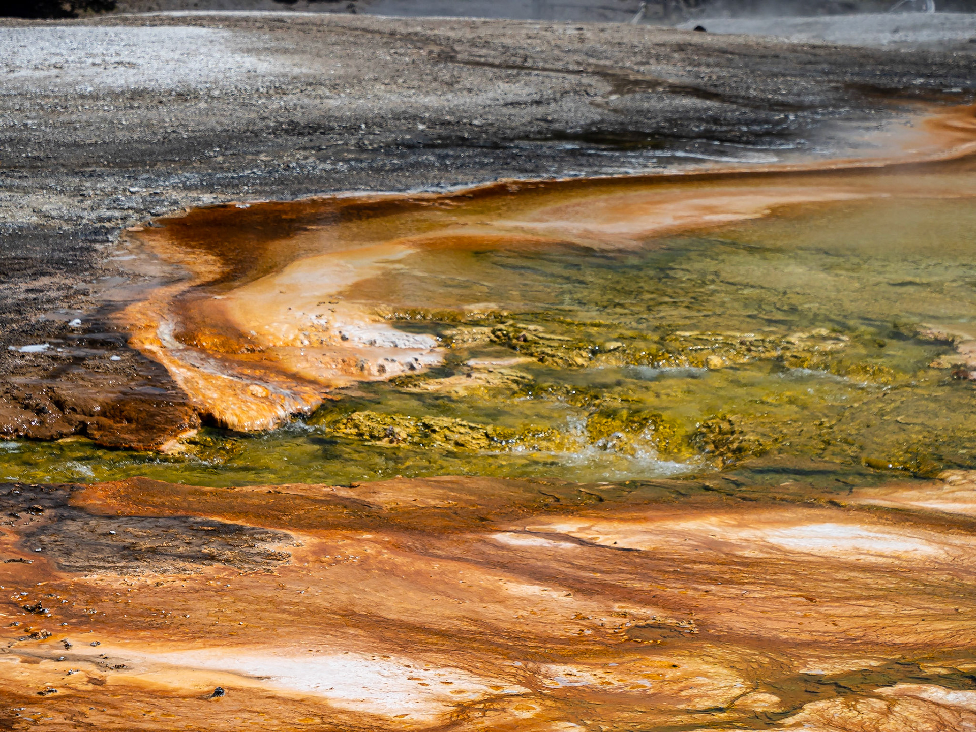 Microbial Mats: Colorful mats of algae and bacteria at Grand Prismatic Spring in the Mid Geyser Basin of Yellowstone National Park.