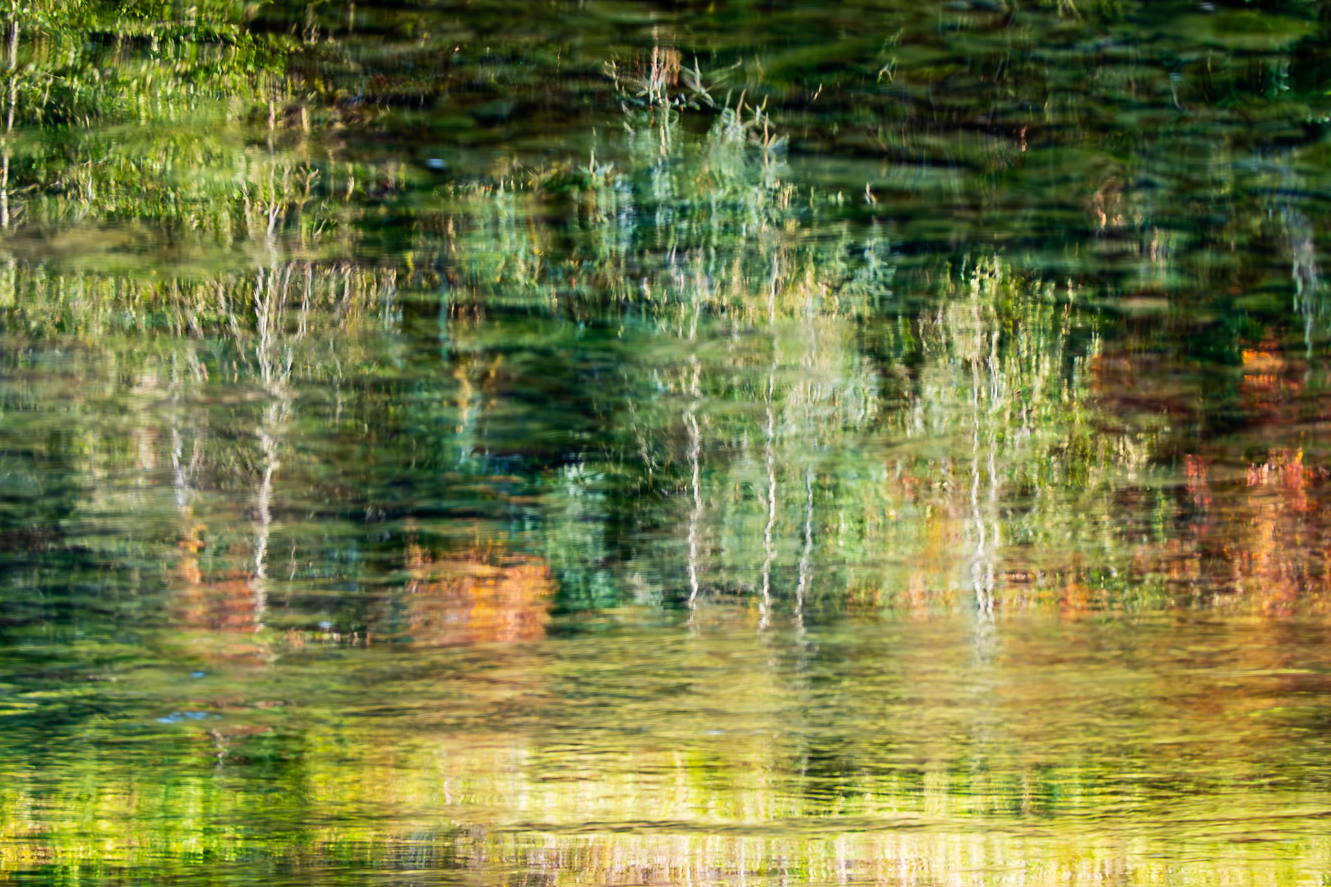 Fall Reflection: On the Middle Fork of the Snoqualmie River.