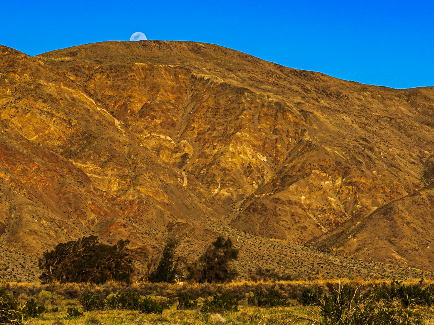Moonrise over Coyote Mountain : Viewed across the creosote-bush studded, alluvial plain near the entrance to Coyote Canyon in the Anza-Borrego Desert.  A house nestled in a copse of willows sites at the far side of the plain at the foot of the mountain.