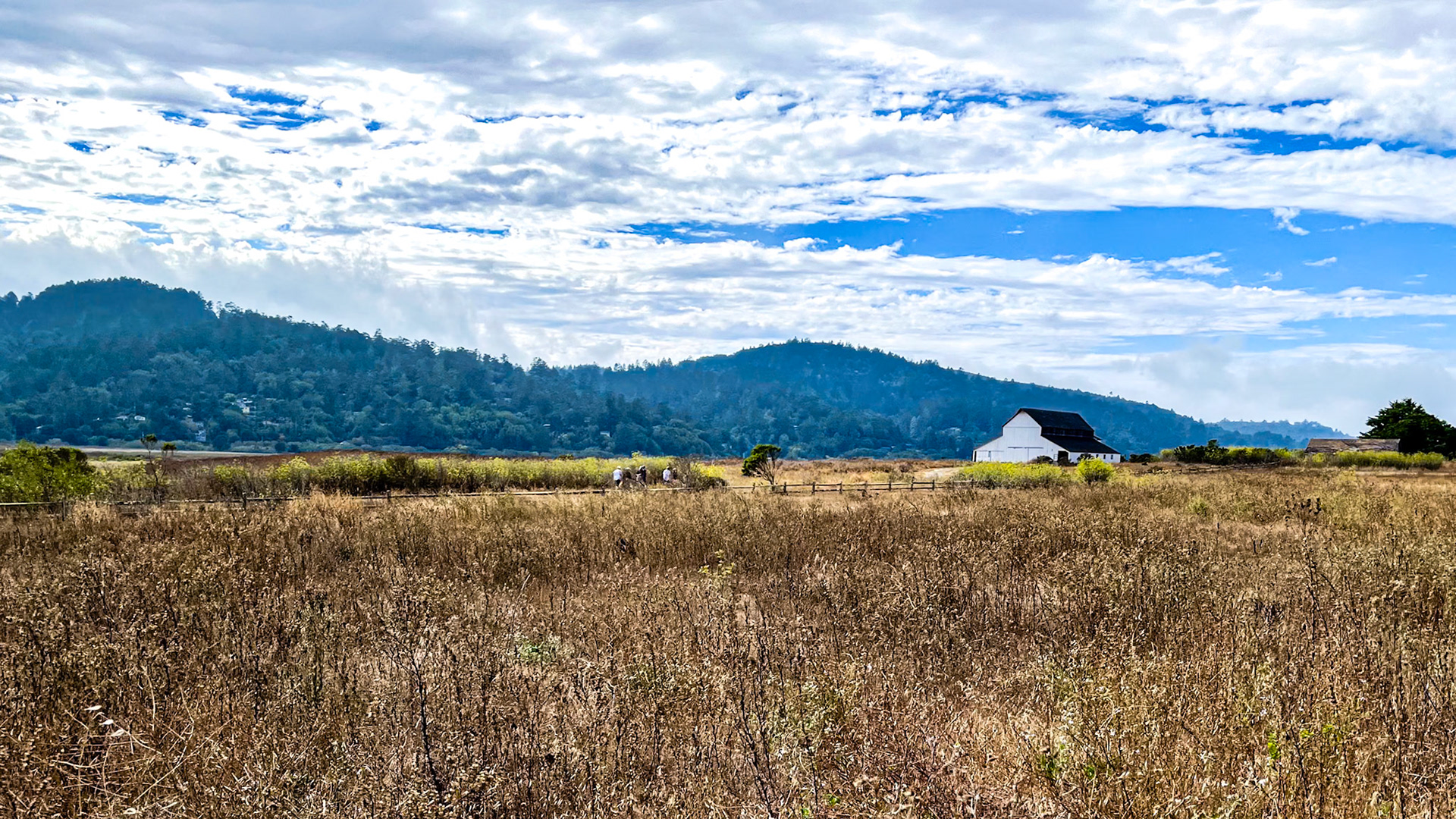 Point Reyes Station Farmland: Located at the head of Tomales Bay California