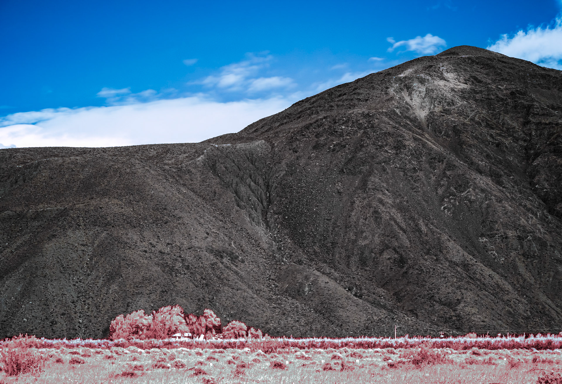 Farmhouse Under the Mountain IRFC: A farmhouse sits in a copse of trees a the base of Coyote Mountain in Anza-Borrego Desert State Park. Infrared (720 nm) false color image.